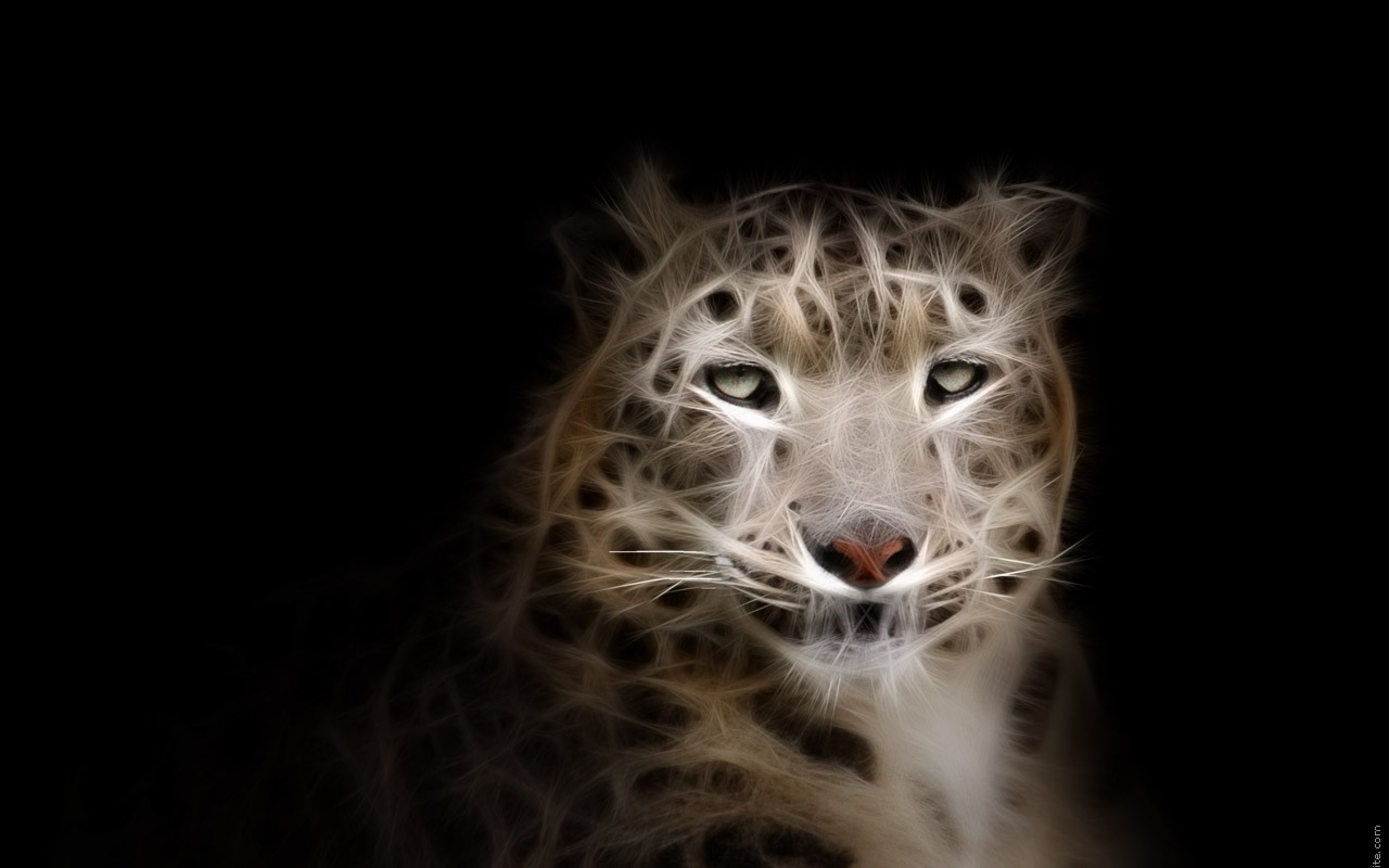 Animal Snow Leopard 2560x1600