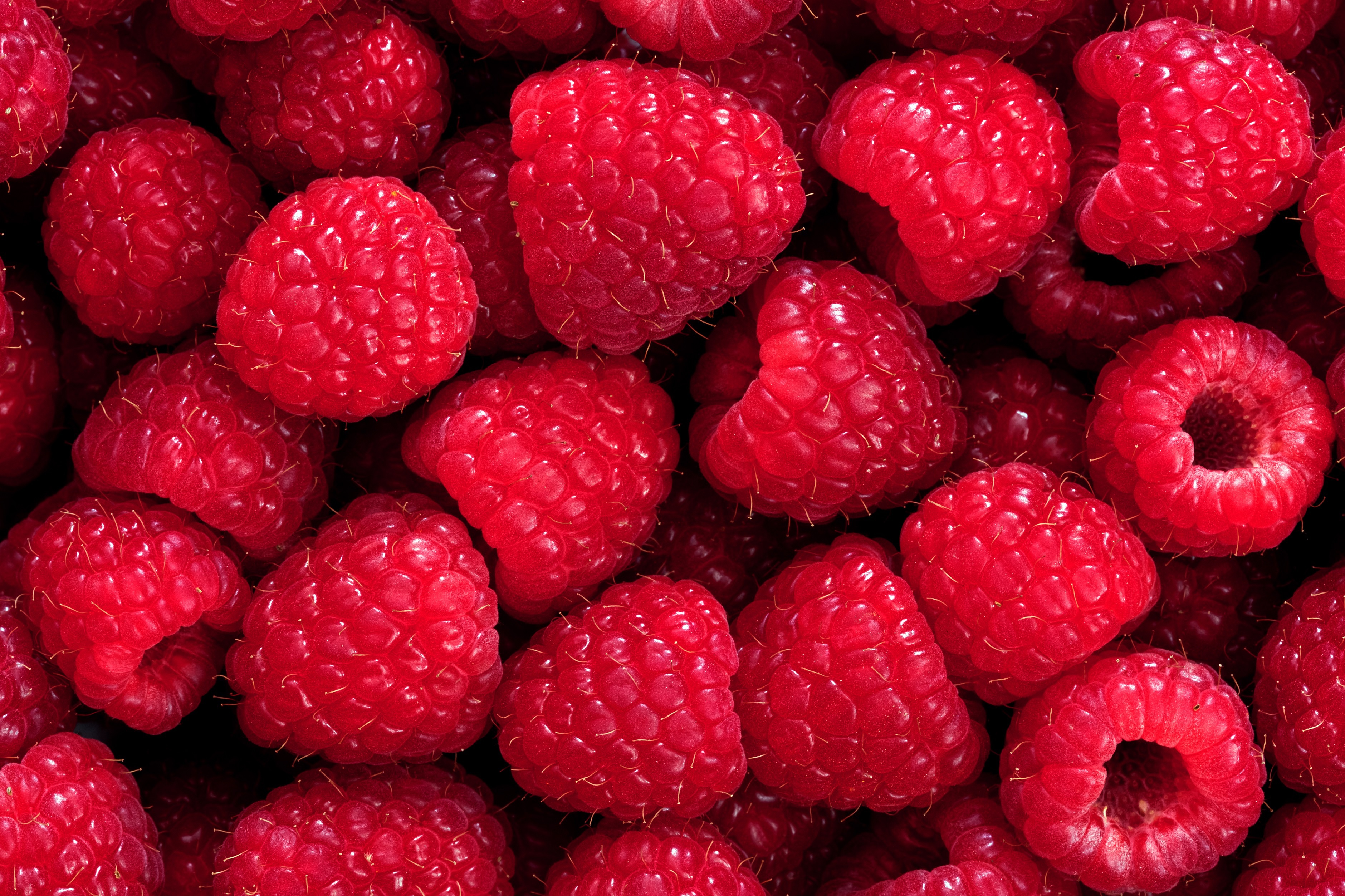 Berry Fruit Raspberry 3760x2506