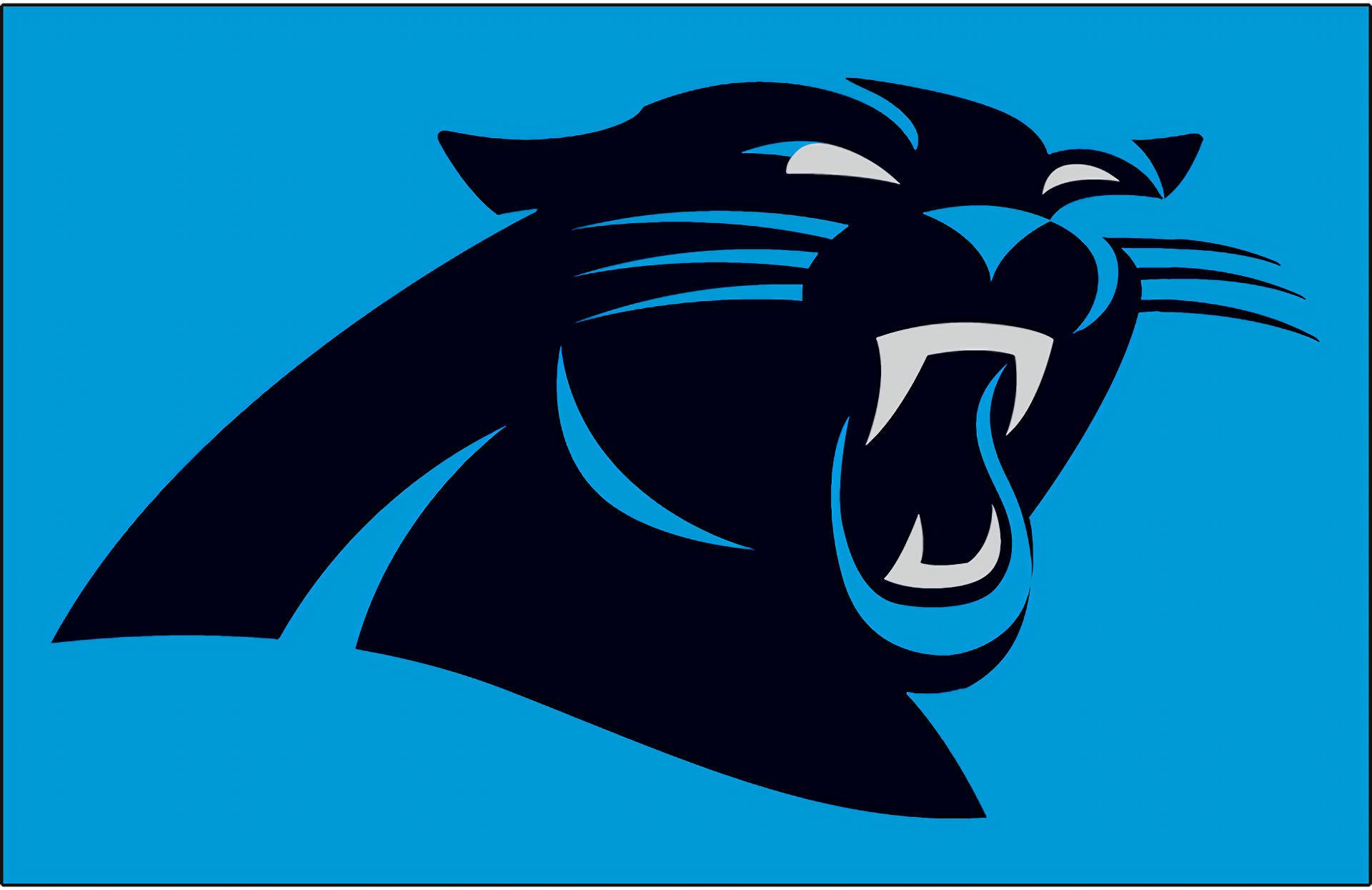 Carolina Panthers 1920x1245