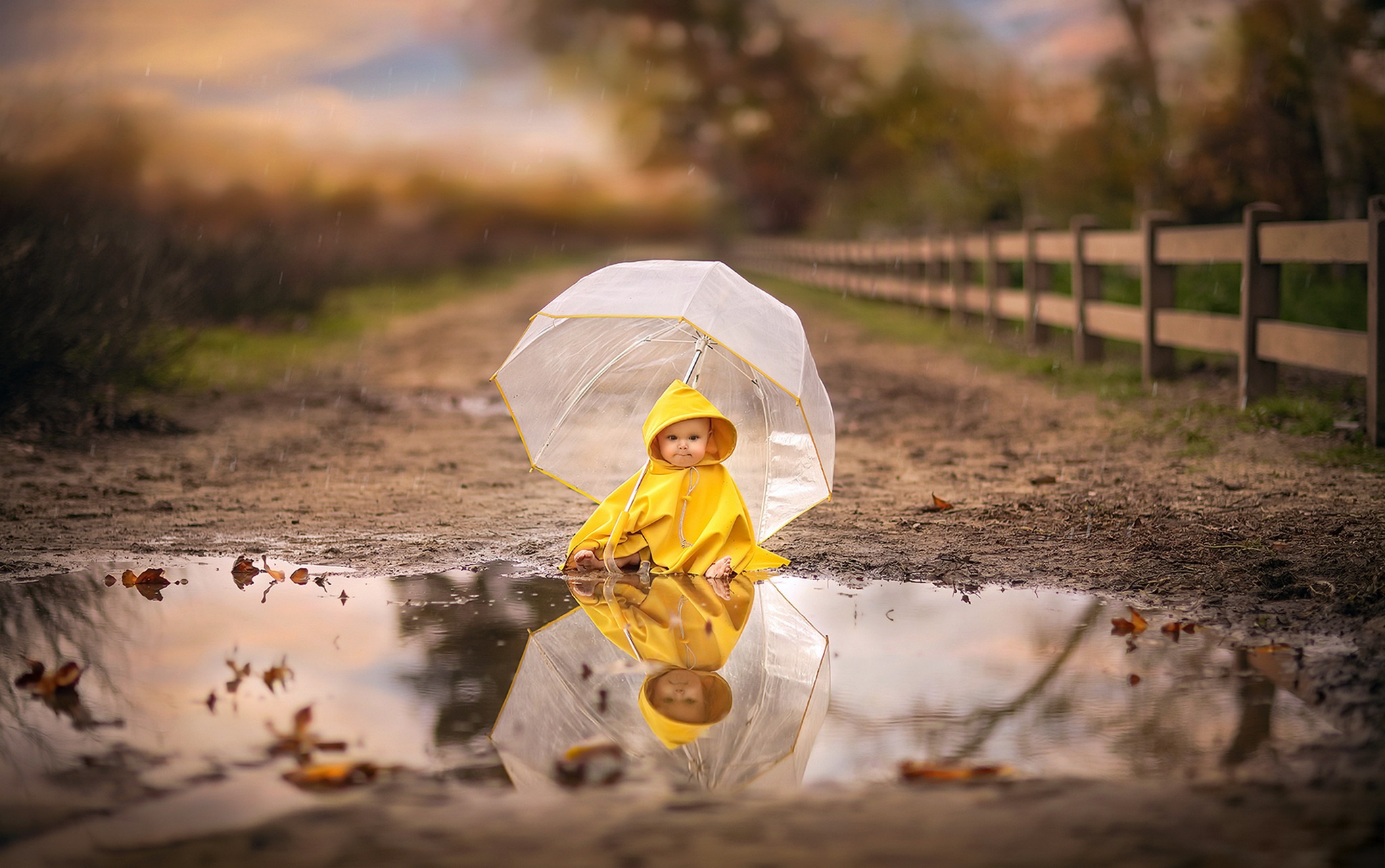 Baby Child Reflection Umbrella 2048x1284