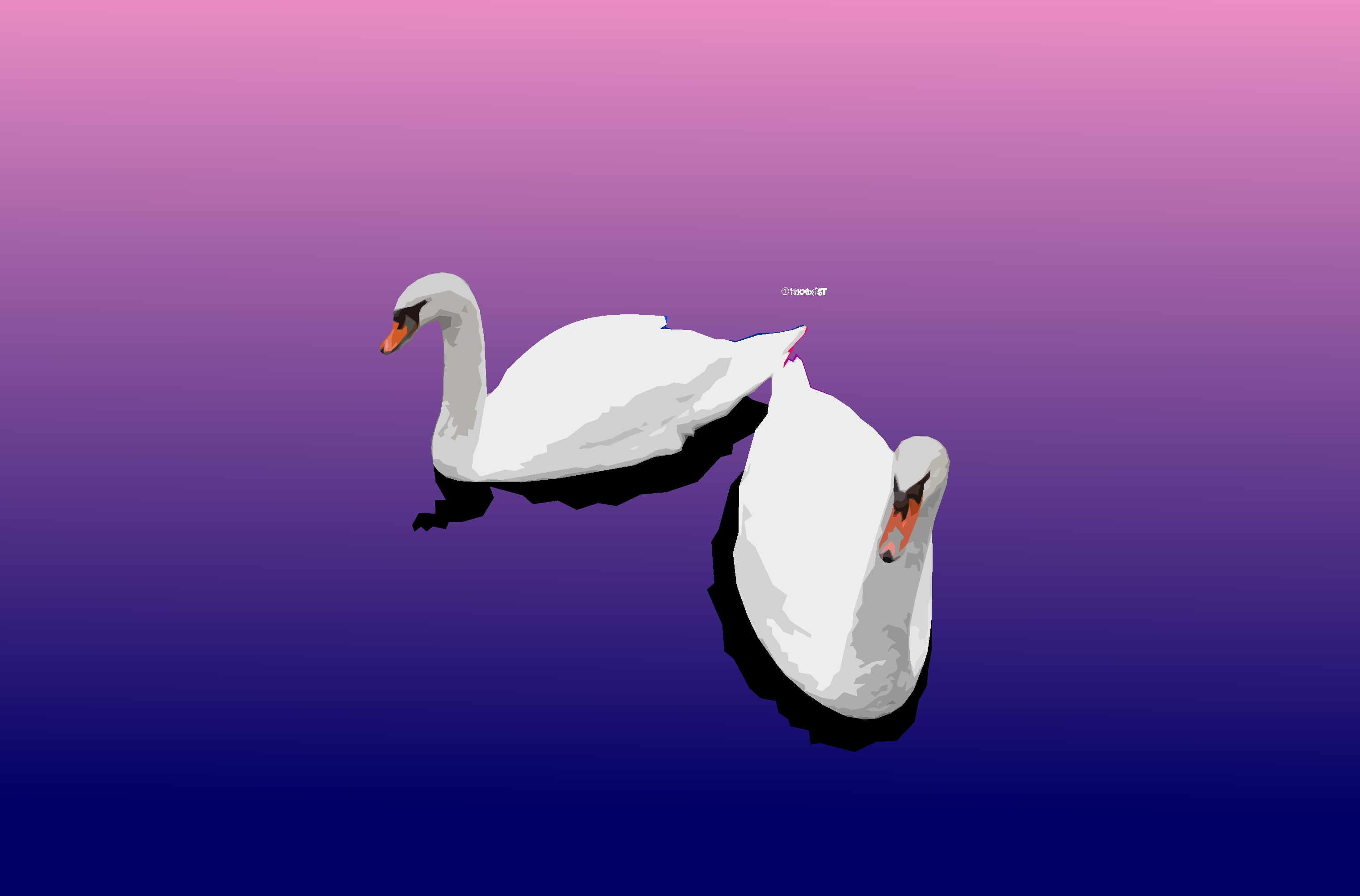 Artistic Bird Digital Art Minimalist Simple Swan Water 3042x2004