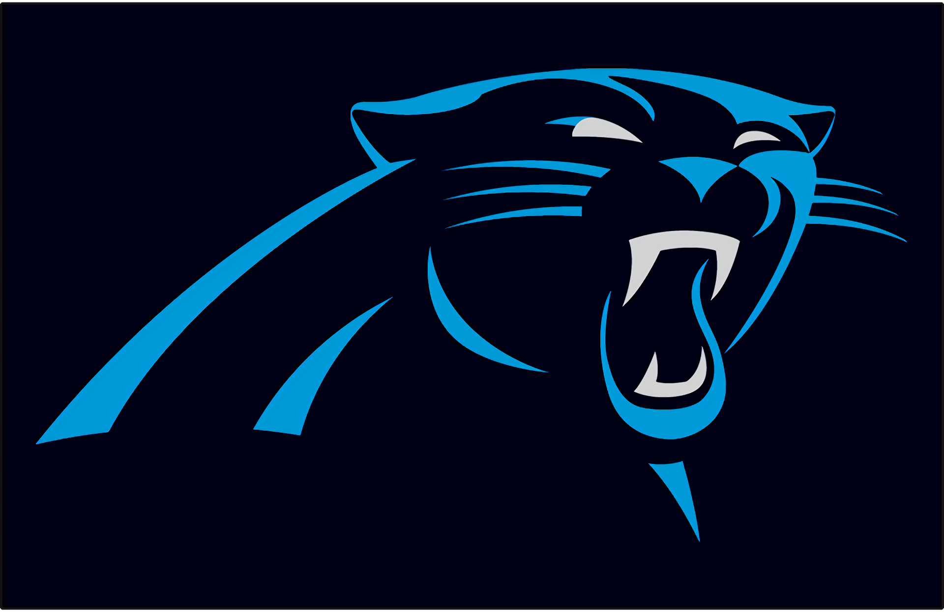 Carolina Panthers 1920x1245