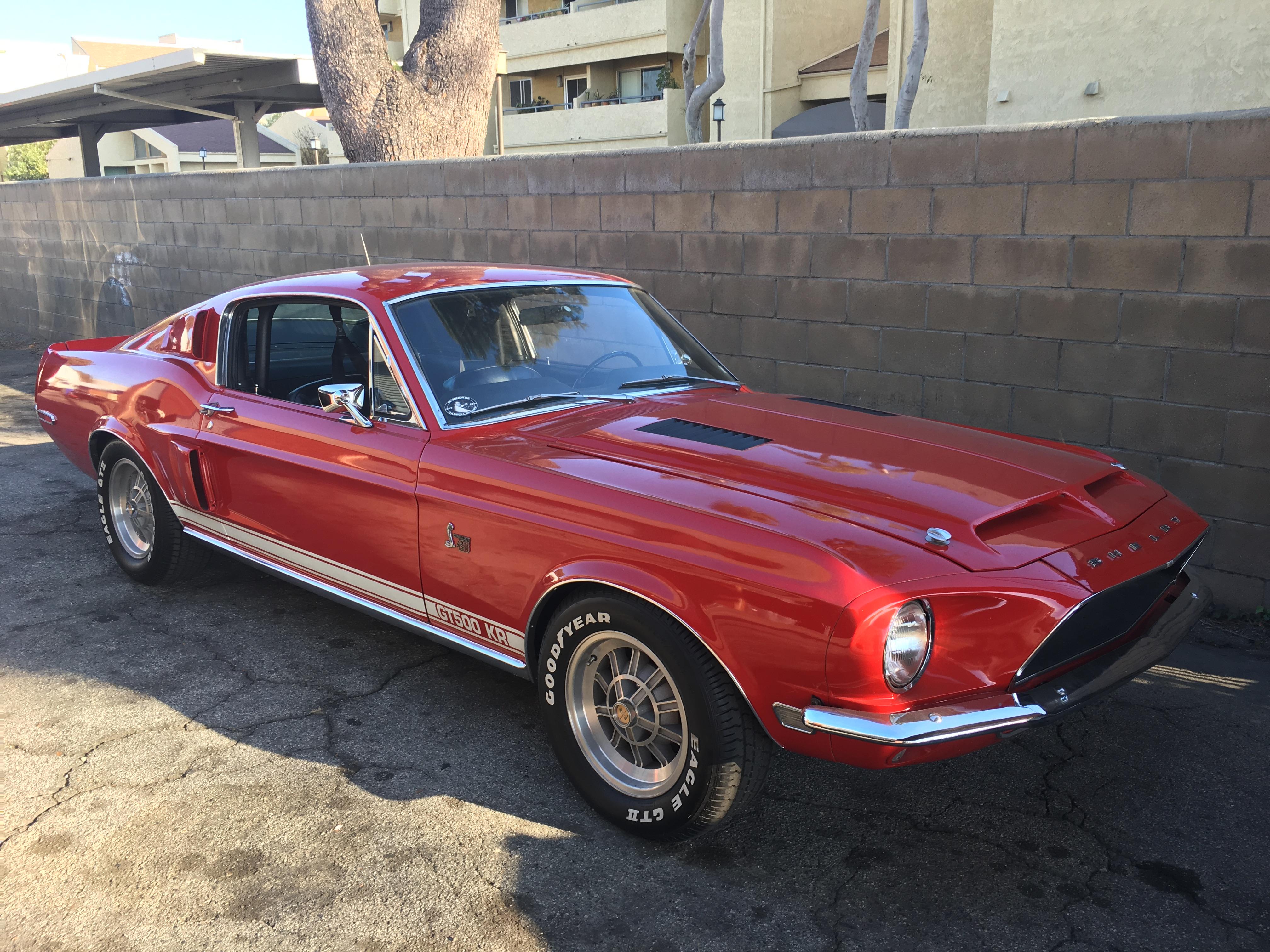 Car Fastback Muscle Car Red Car Shelby Cobra Gt500 King Of The Road 4032x3024