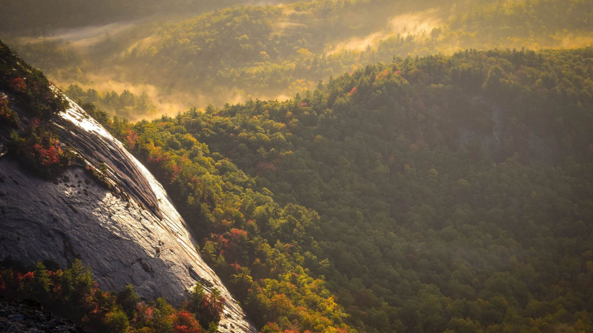 Nature Landscape Mountains Rocks Trees Forest Mist Sunlight White Mountains USA 1920x1080