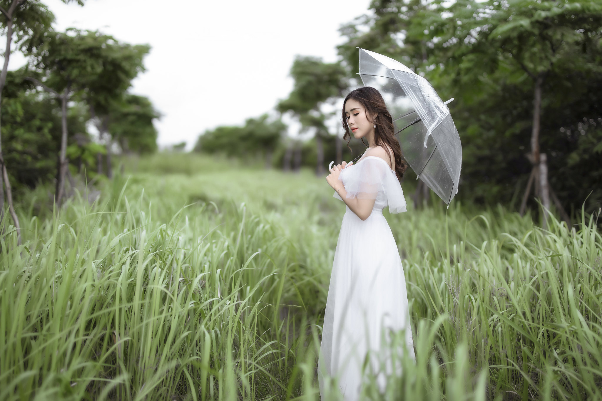 Women White Dress Umbrella Vietnamese Depth Of Field Trees Grass Asian 2048x1365