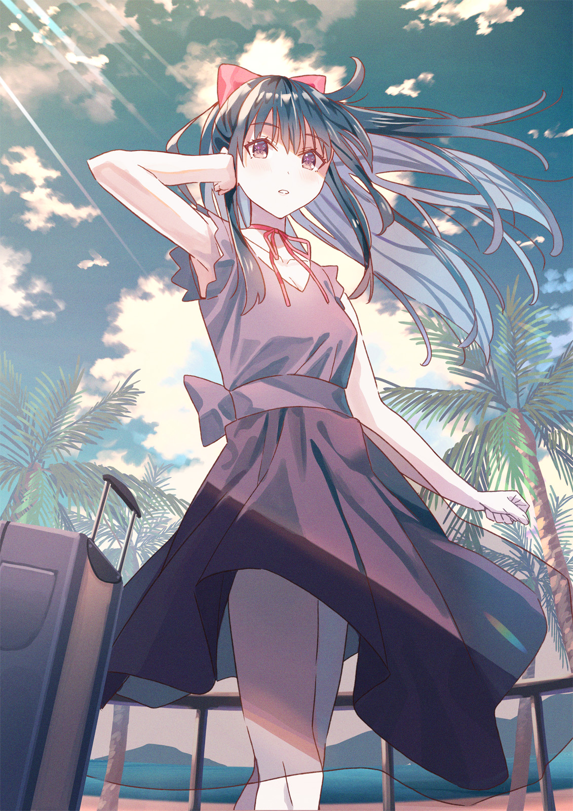 Anime Anime Girls Komizuki Portrait Display Original Characters Koh Rd Suitcase Dress Dark Hair Low  1131x1600