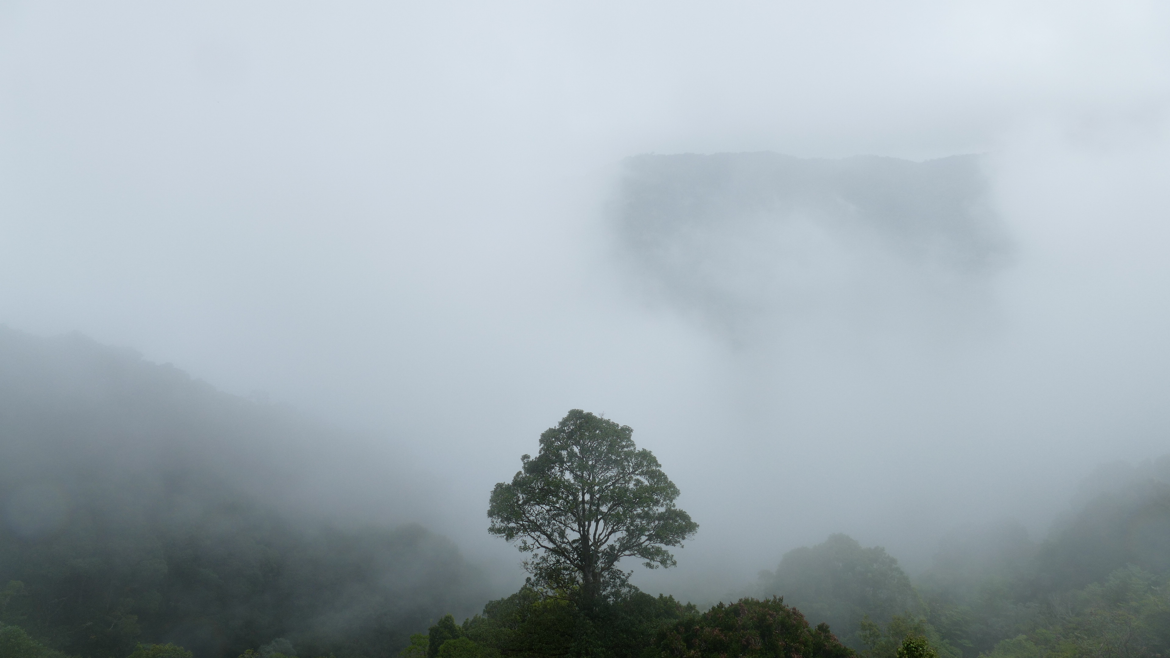 Cloud Costa Rica Jungle National Park 3840x2160