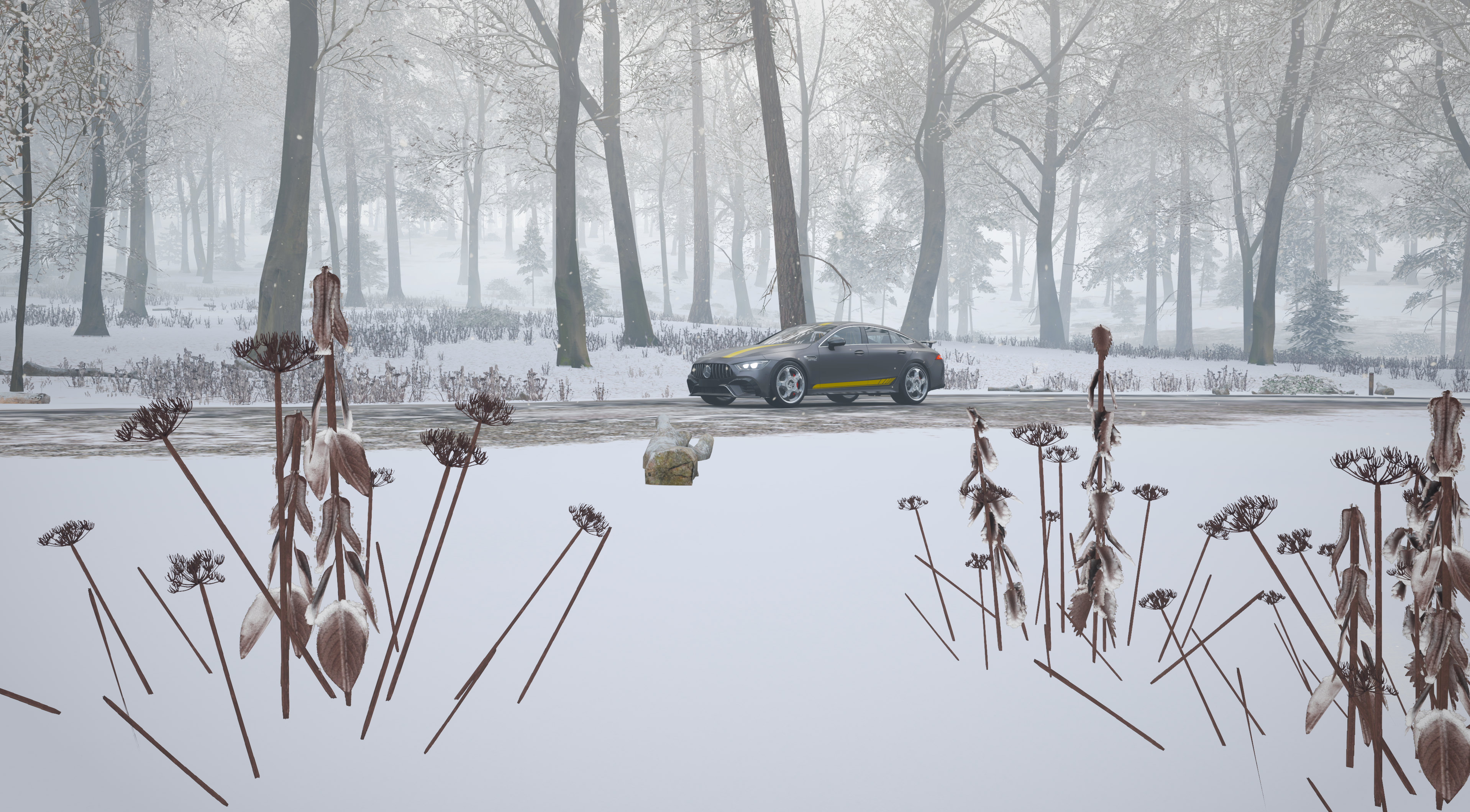 Mercedes Benz GT4 Mercedes AMG Forza Horizon 4 Snow Wood 3836x2119