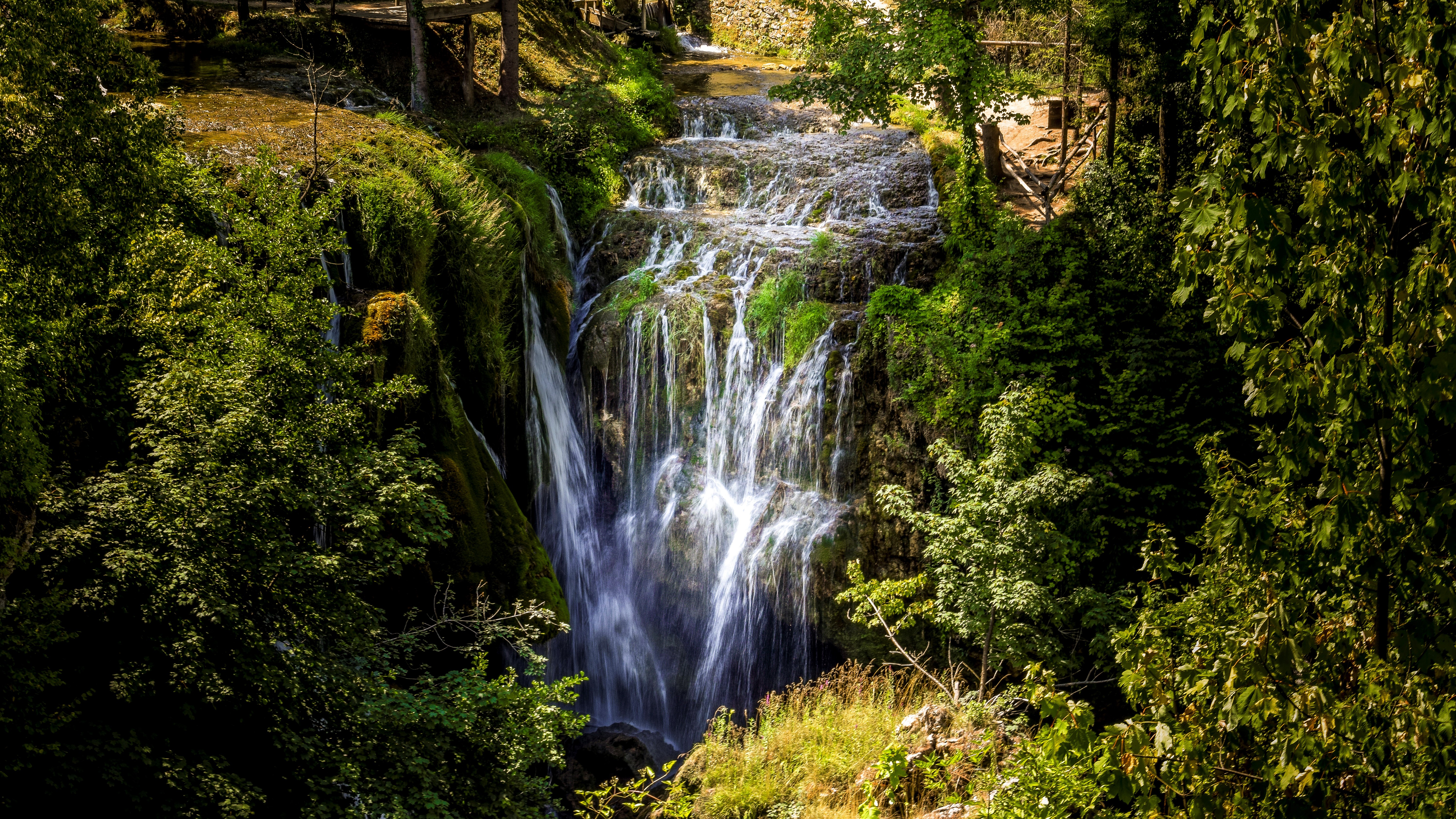 Forest Greenery Waterfall 6000x3375