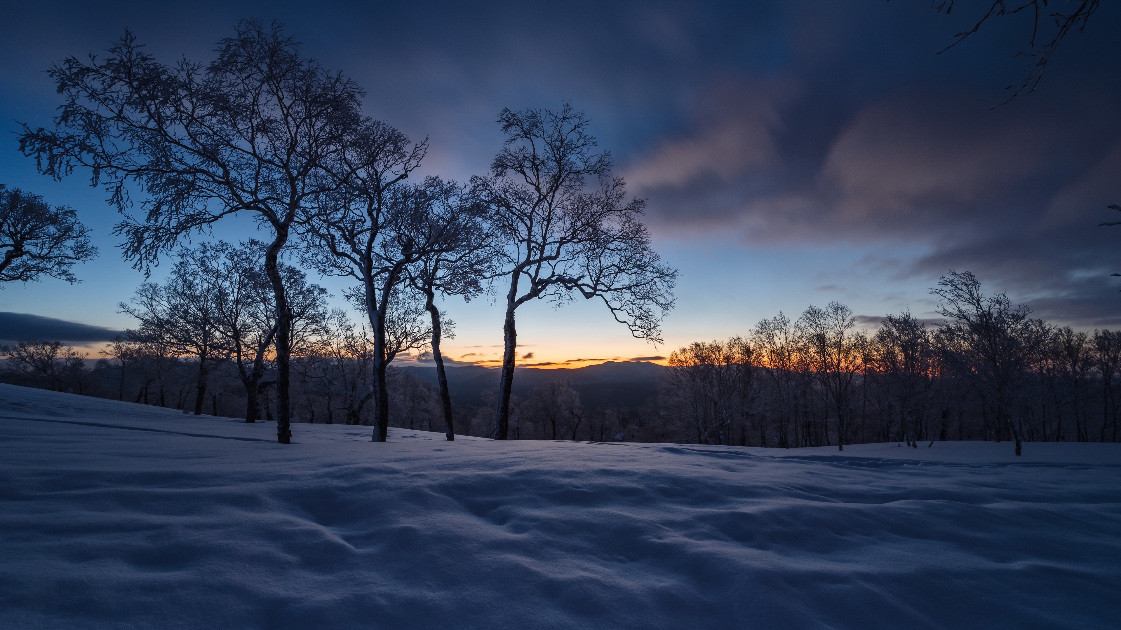 Dark Sunlight Outdoors Winter Snow Ice Cold Nature Trees Sky 3840x2160