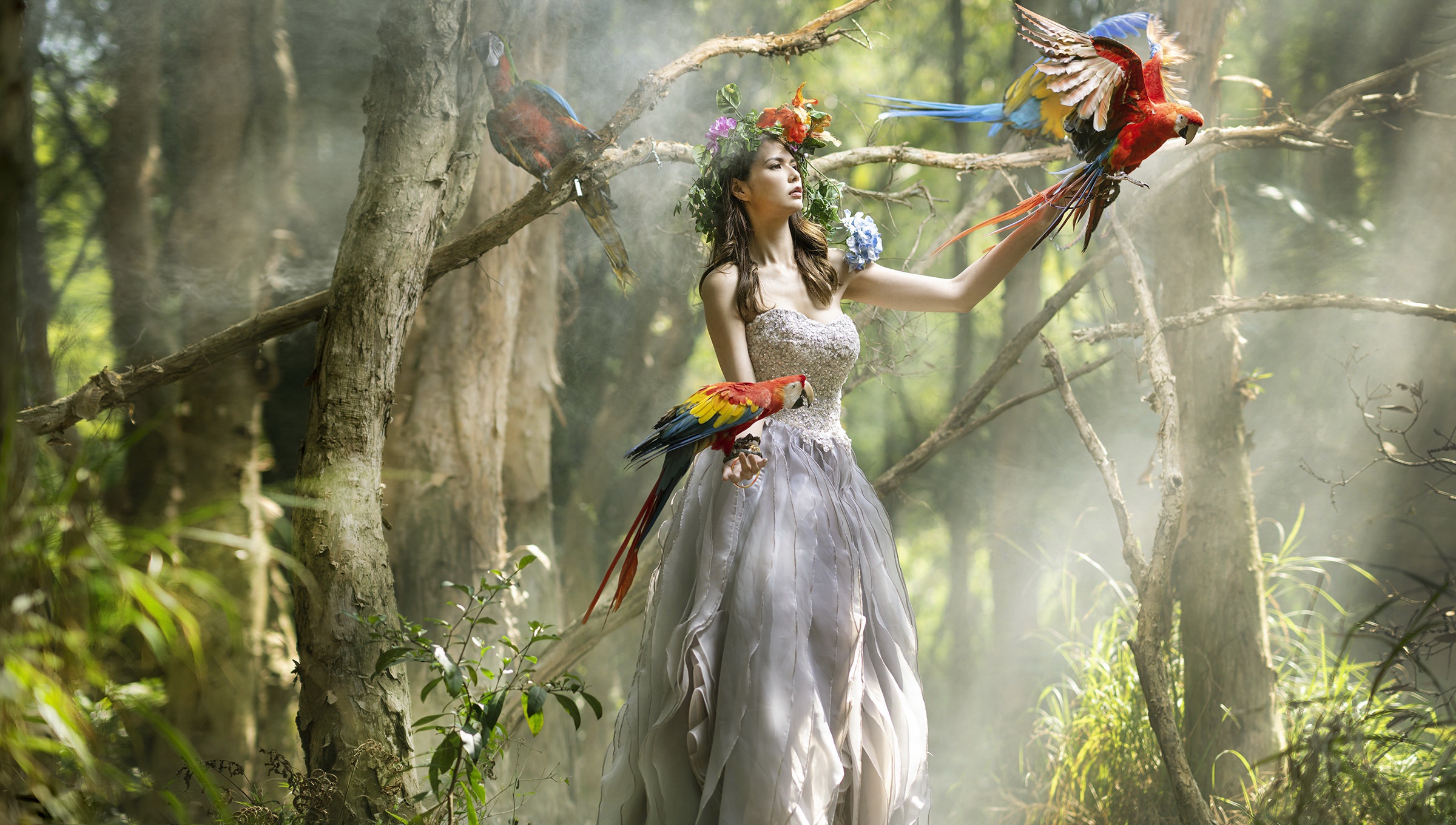 Asian Women Model Animals Birds Parrot Fantasy Girl Trees Women Outdoors 2400x1360