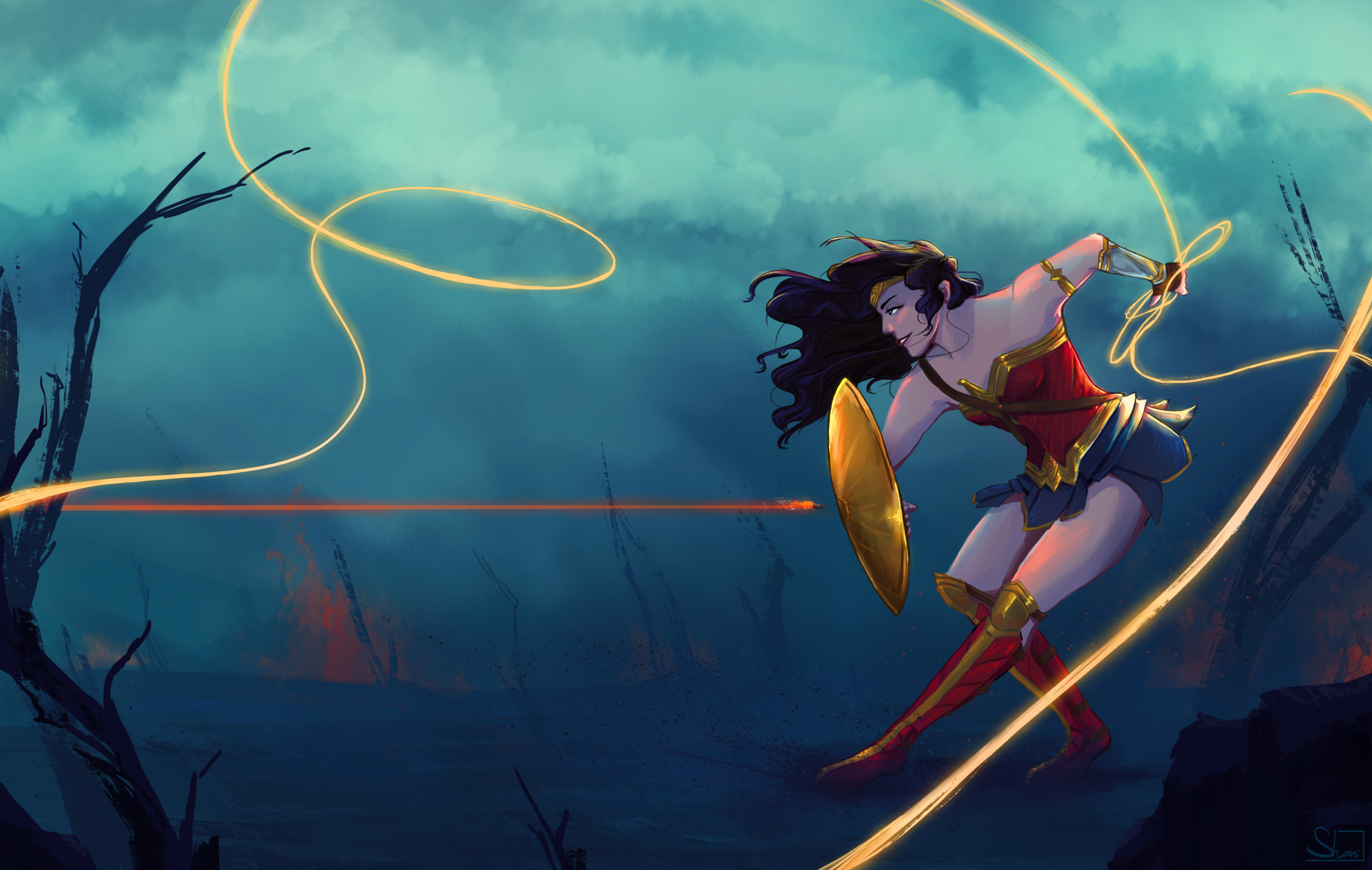 Dc Comics Wonder Woman 2524x1600