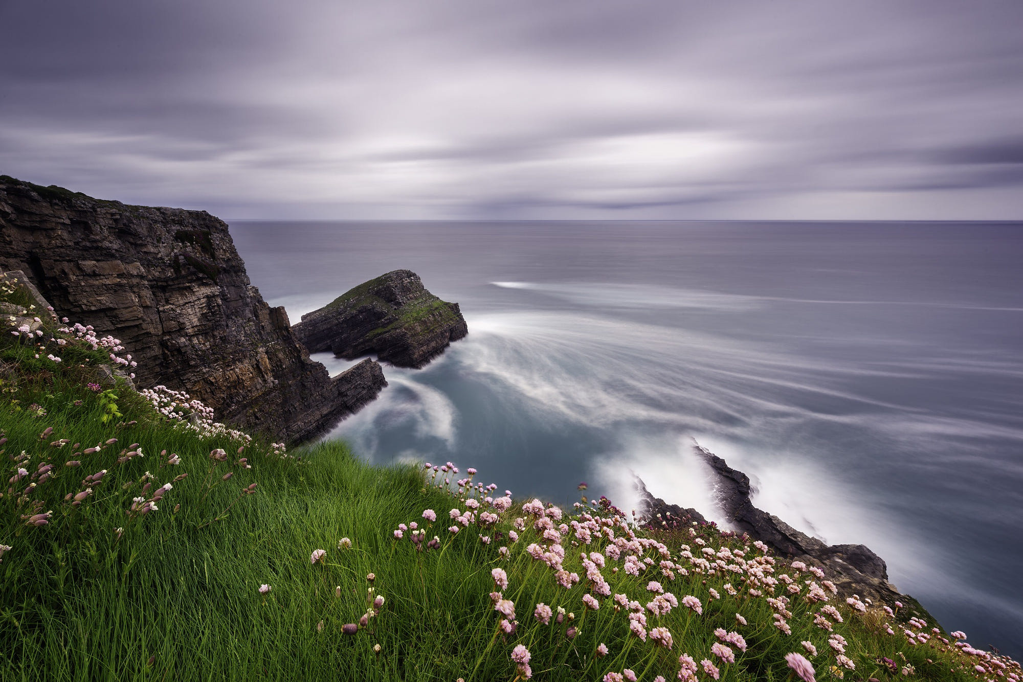 Cliff Coast Coastline Earth Flower Grass Horizon Ocean Rock Sea 2000x1334