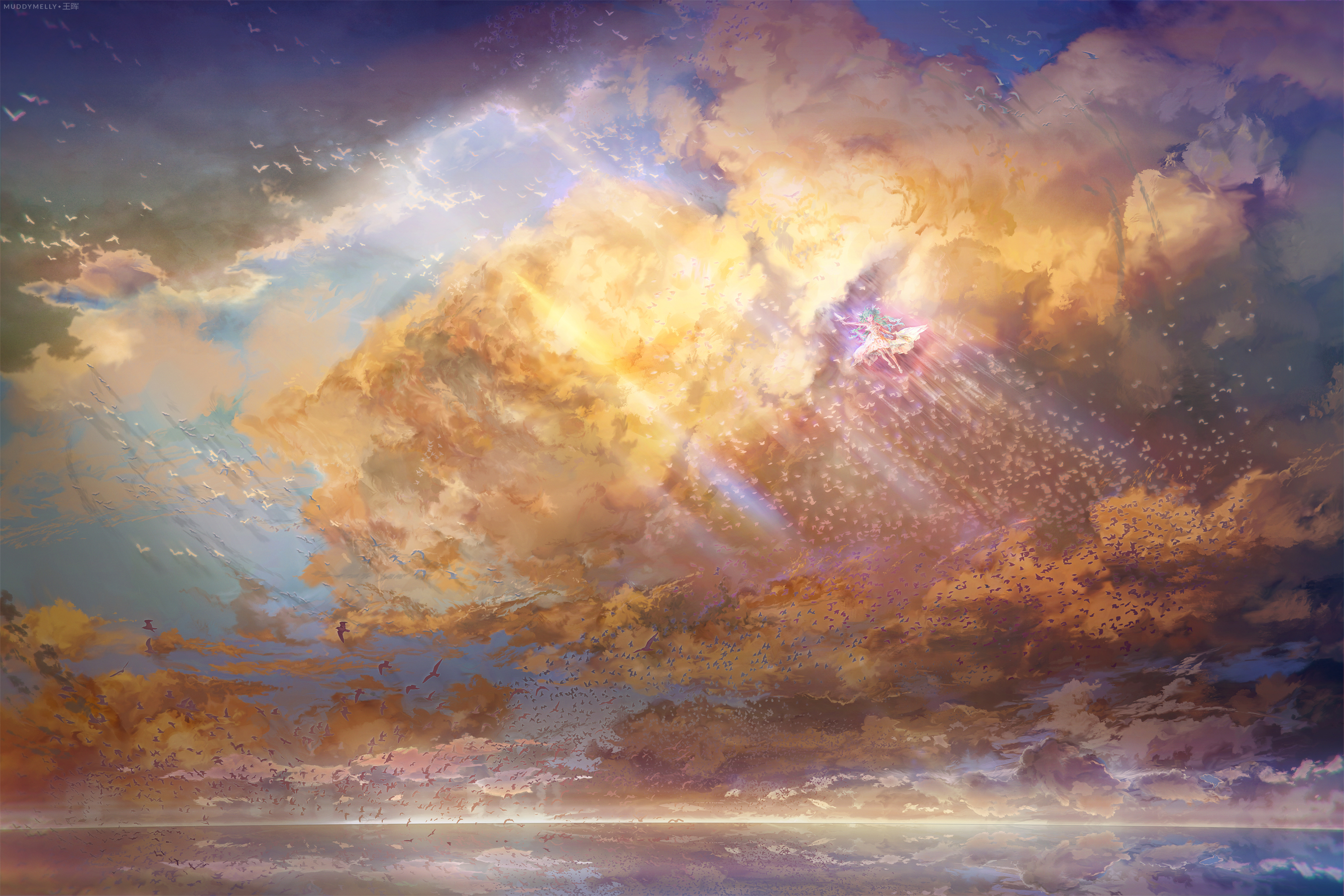 Bird Cloud Ocean Sky Sunlight 2700x1800