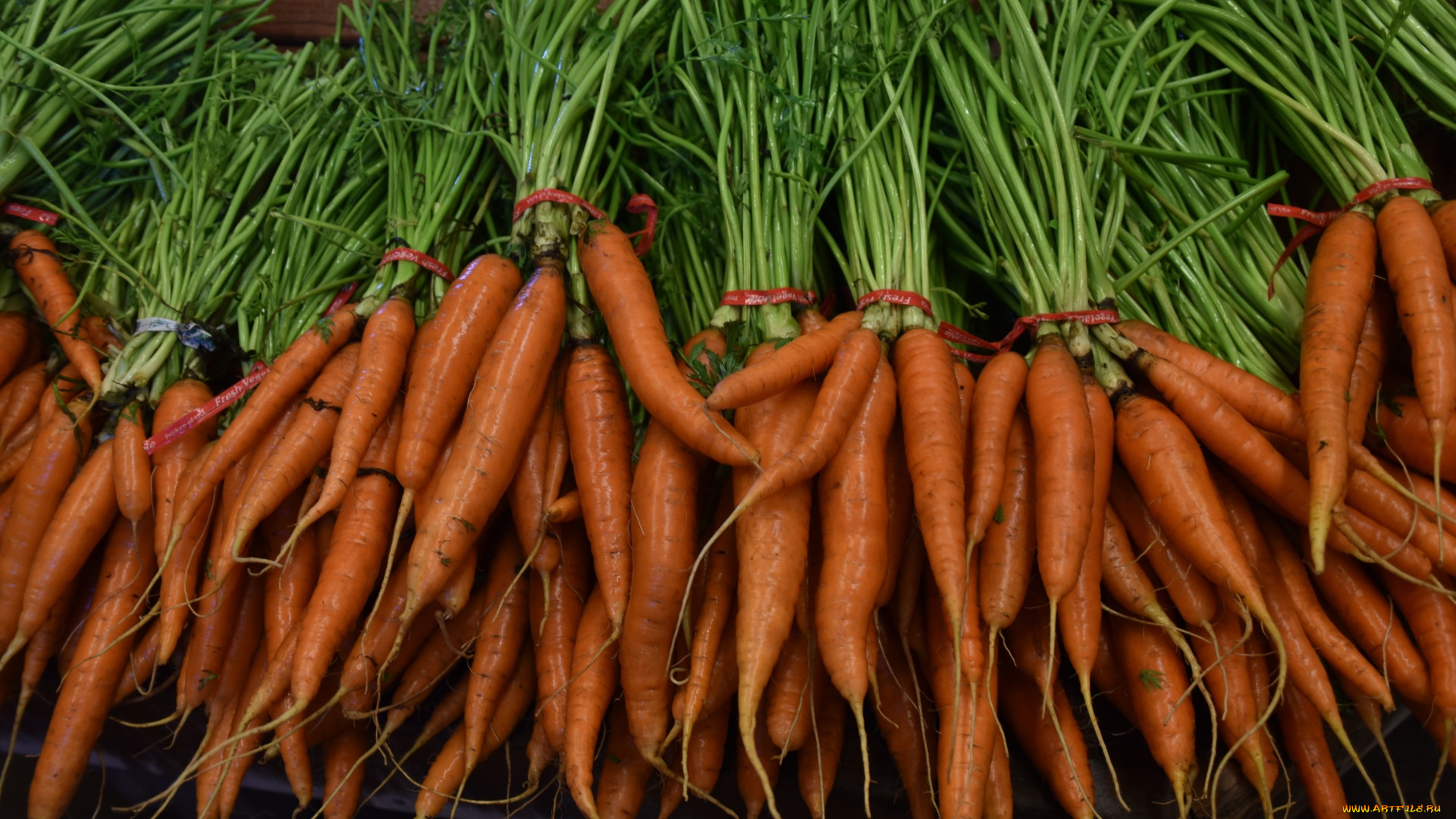 Food Vegetables Carrot Carrots 1920x1080