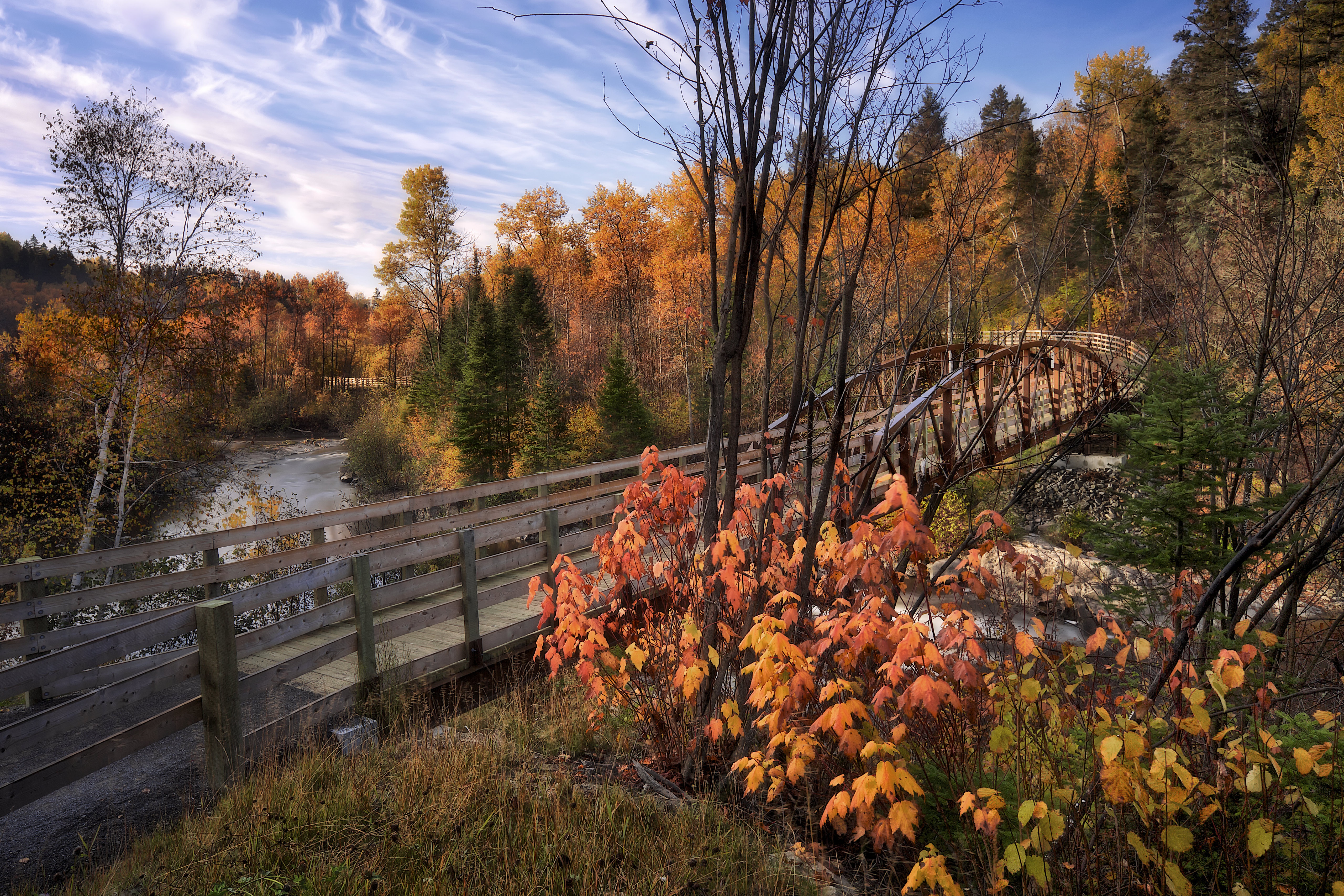 Bridge Canada Fall Forest River 5120x3413