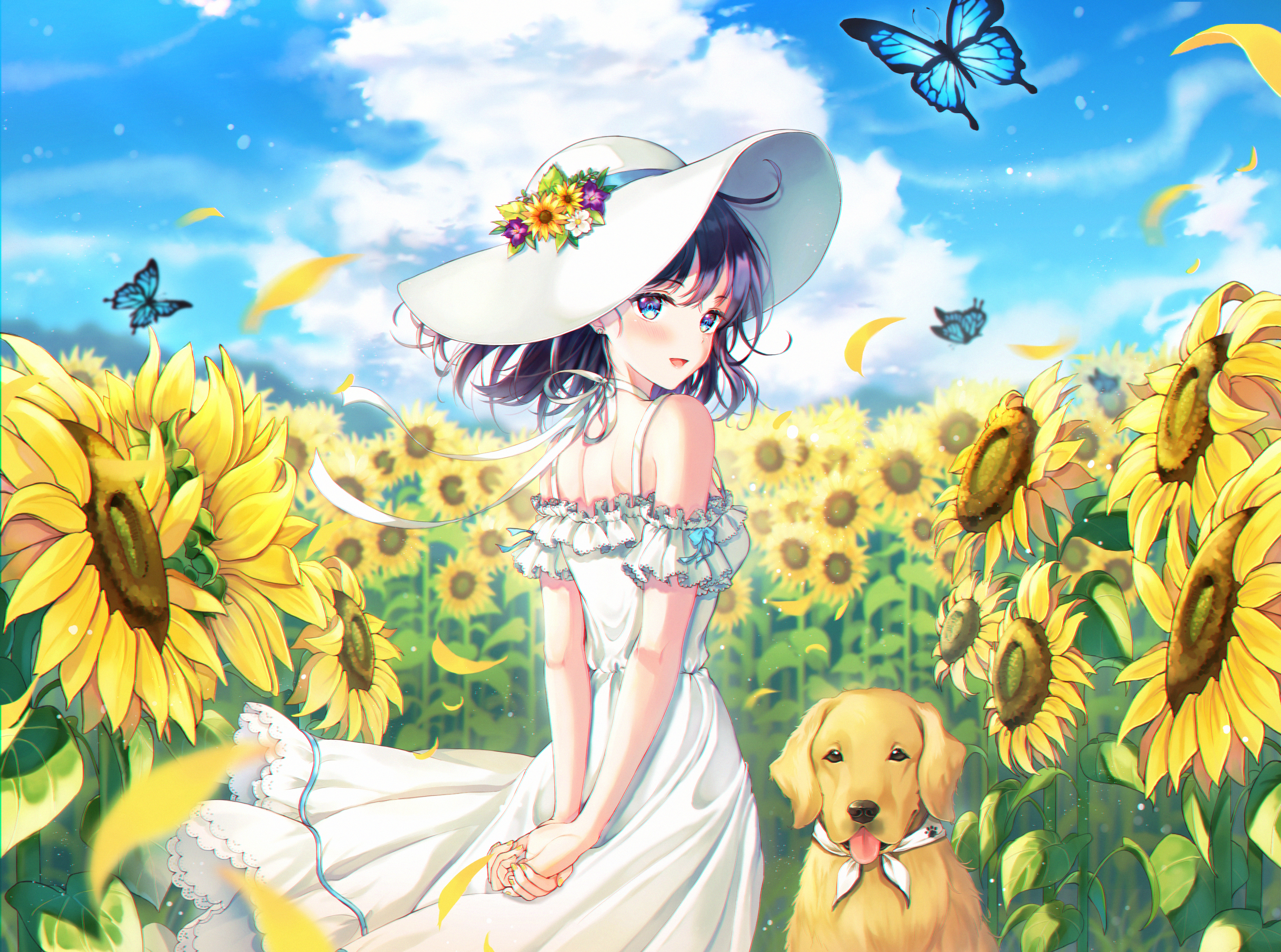 Dog Girl Hat Sunflower 3000x2230