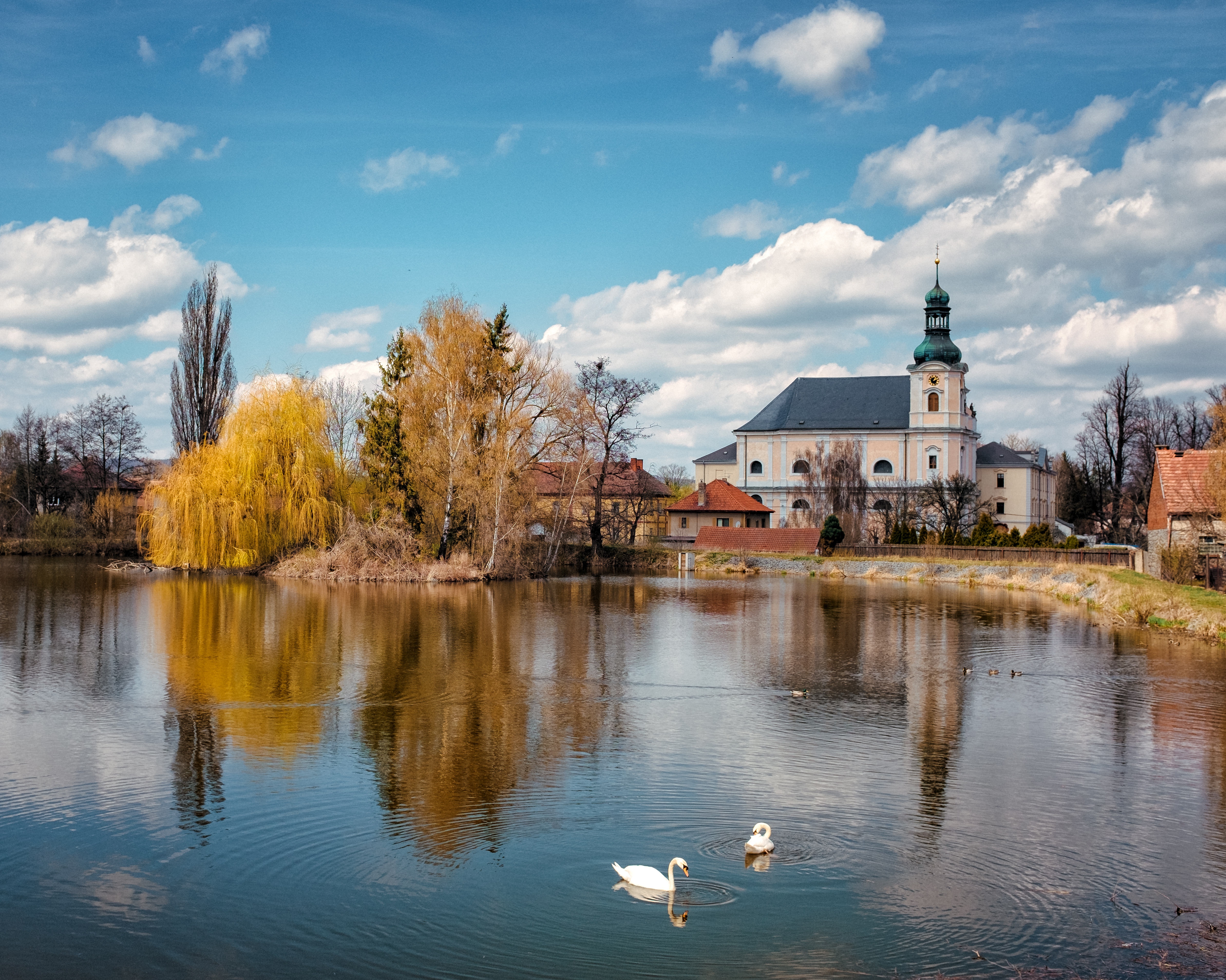 Czech Republic Pond Swan Village 4775x3820