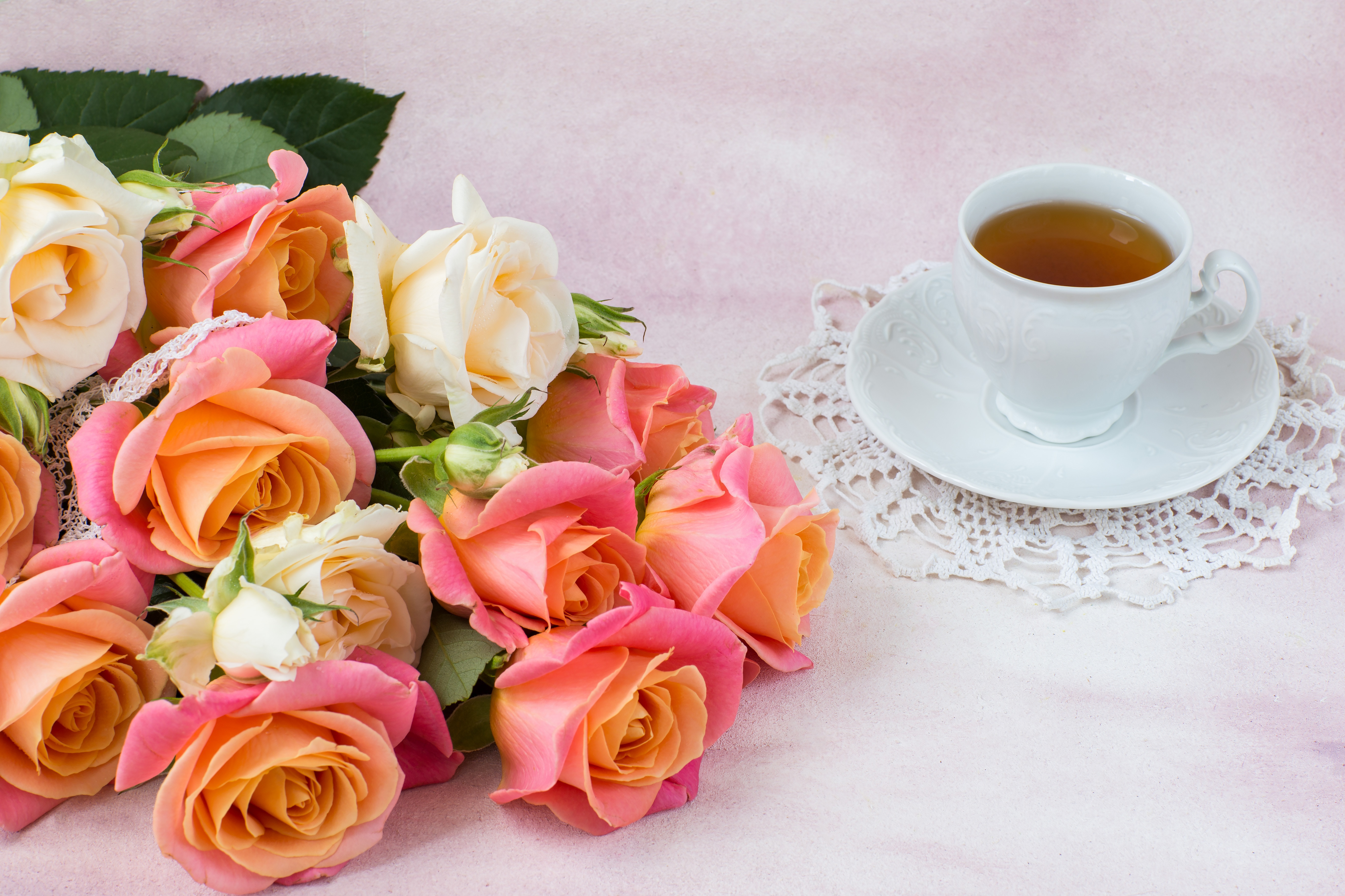 Bouquet Cup Flower Rose Tea 5472x3648