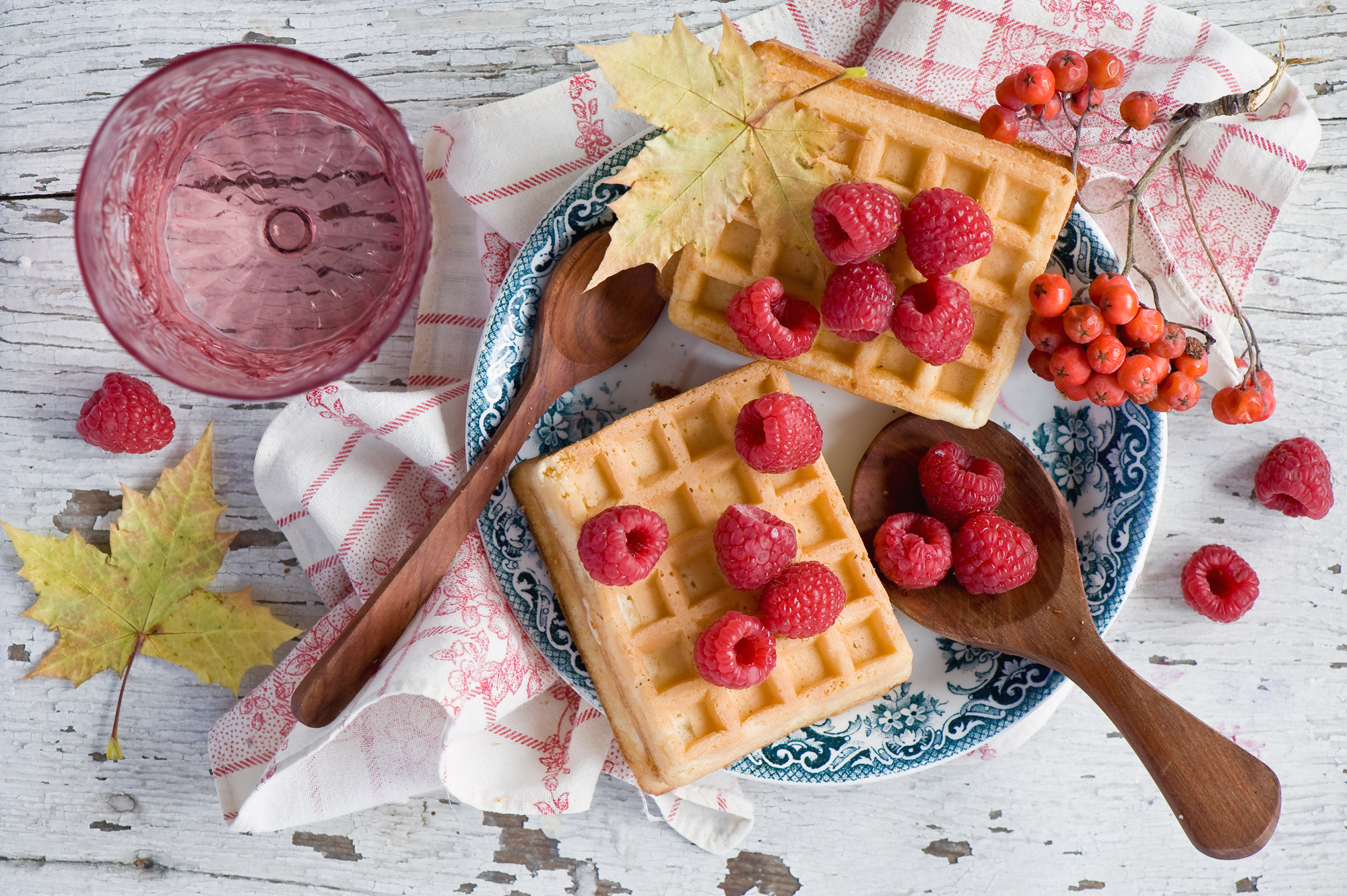 Berry Currants Raspberry Still Life Waffle 2000x1331
