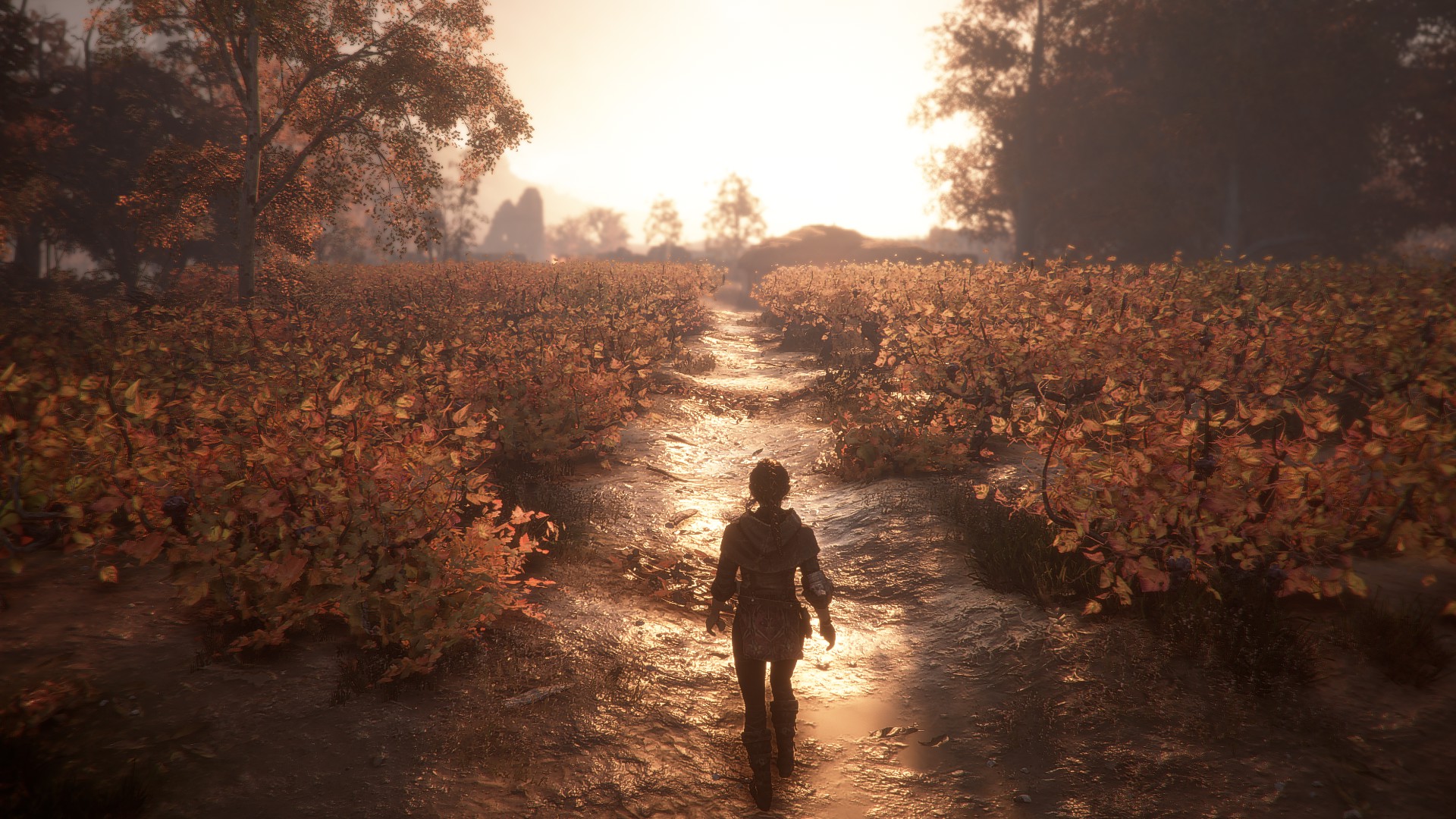 A Plague Tale Innocence Video Game Art Asobo Studio 1920x1080