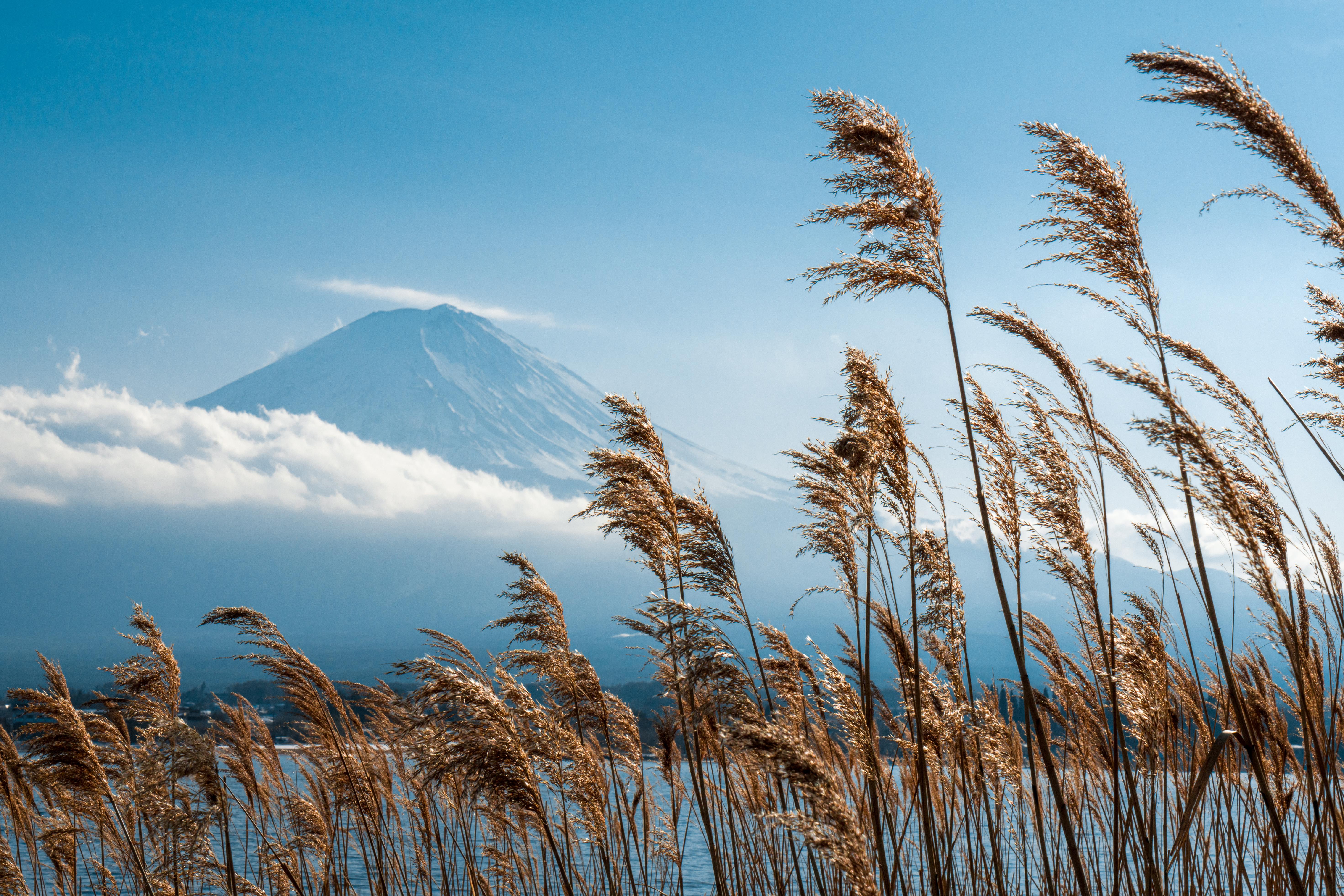 Earth Mount Fuji 5885x3925