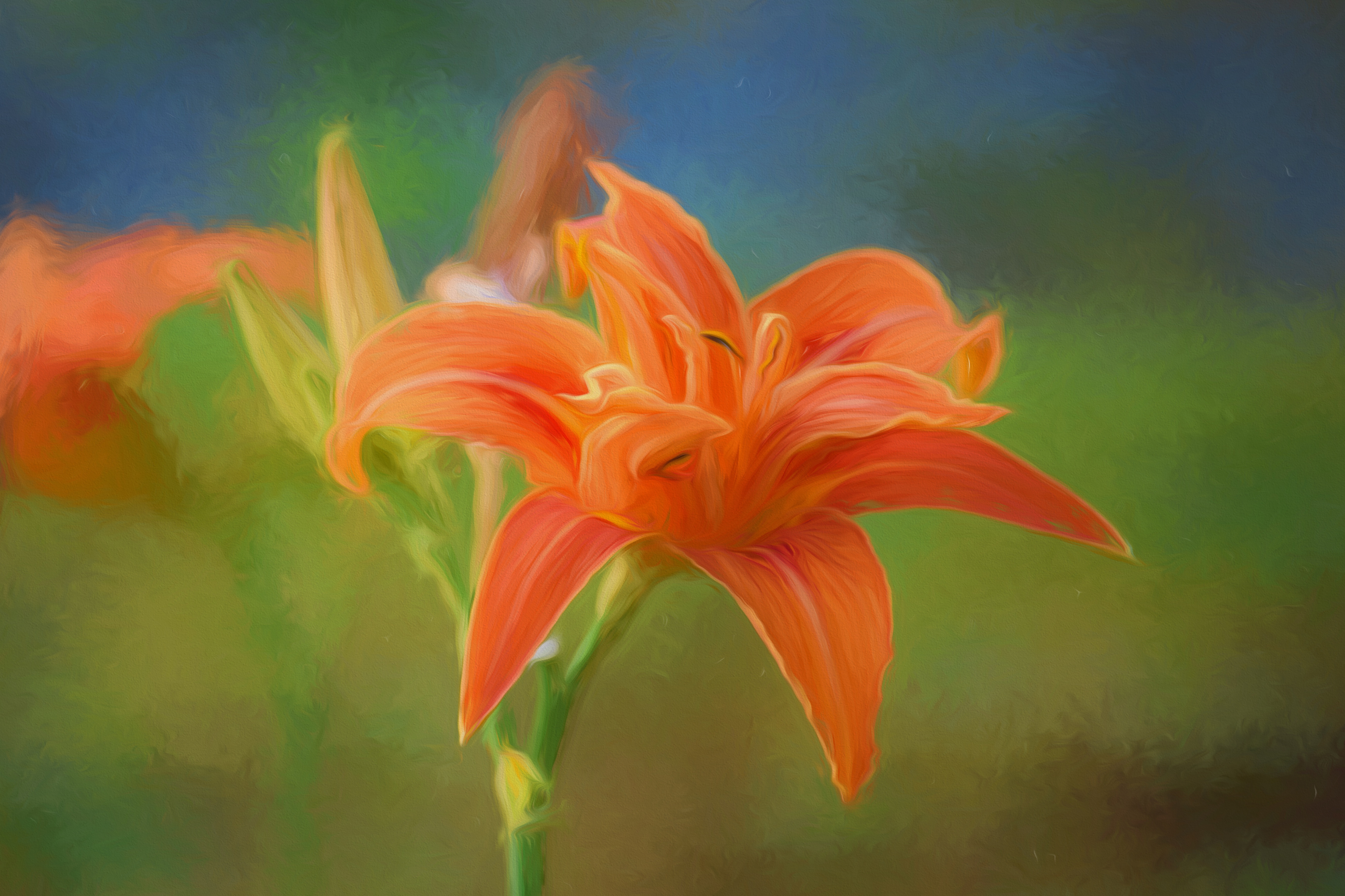 Artistic Daylily Digital Art Flower Lily Oil Painting Orange Flower 5315x3543