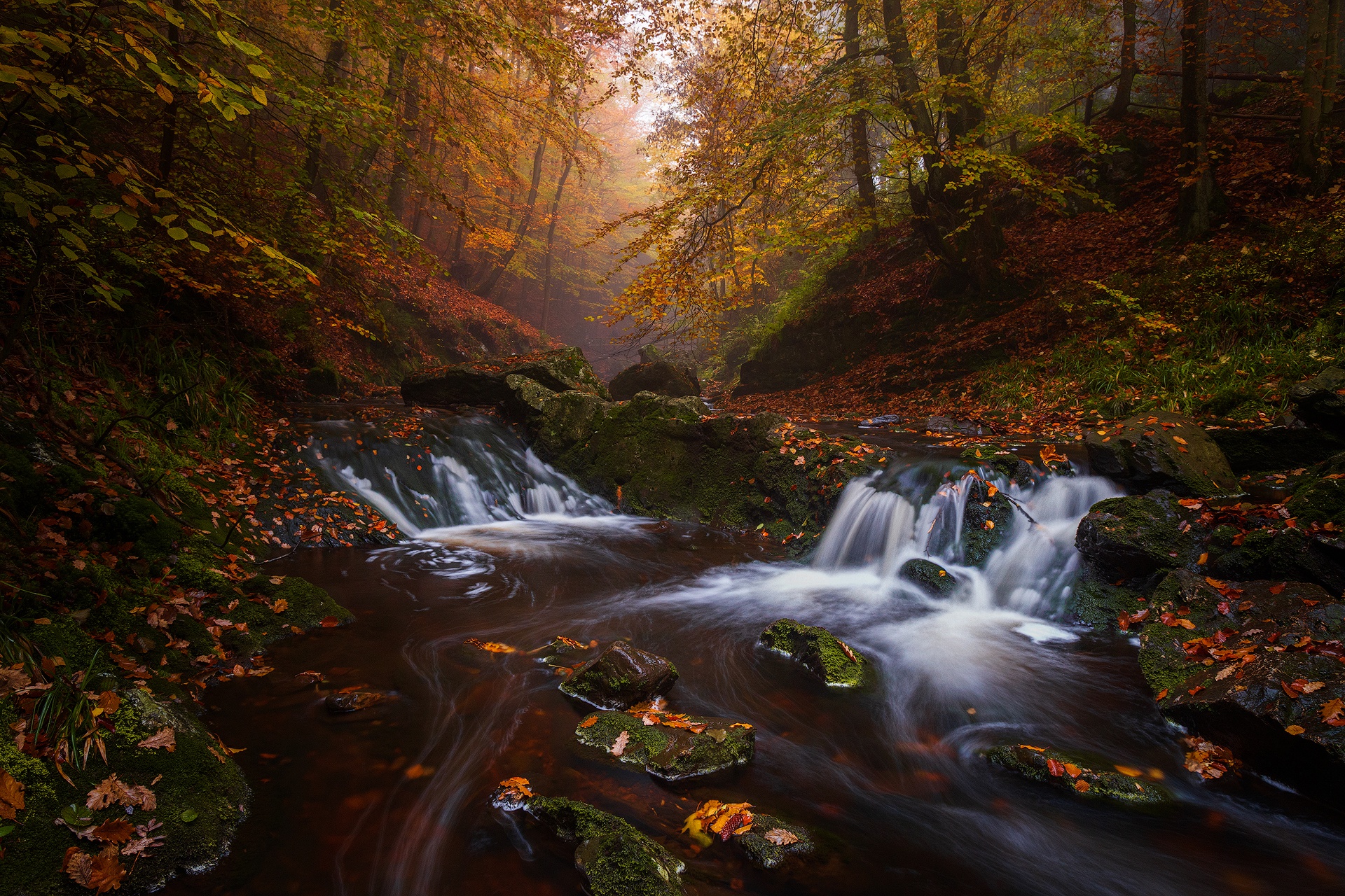 Belgium Fall Forest River Waterfall 1920x1280