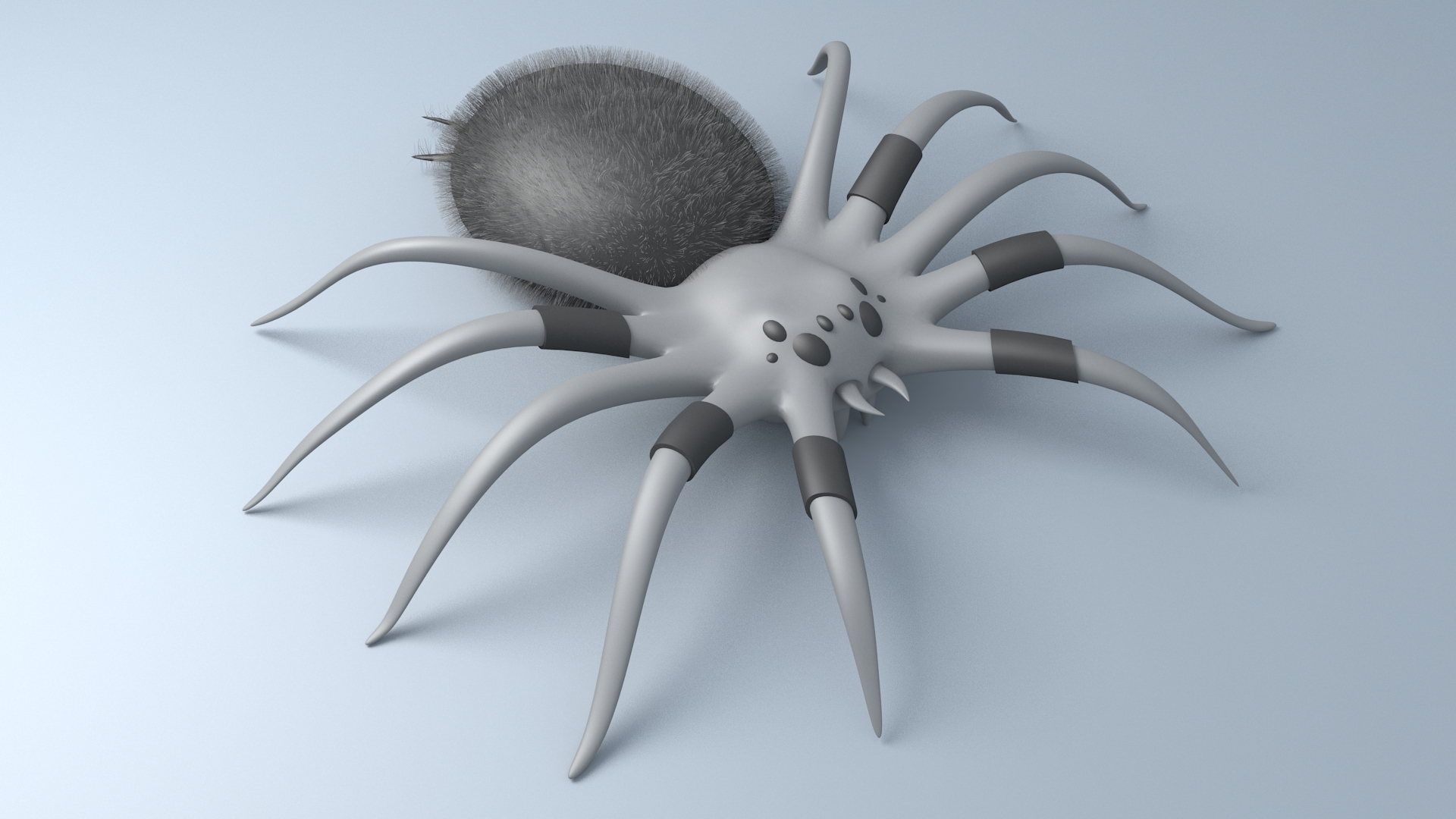 3D Spider Arachnid 1920x1080