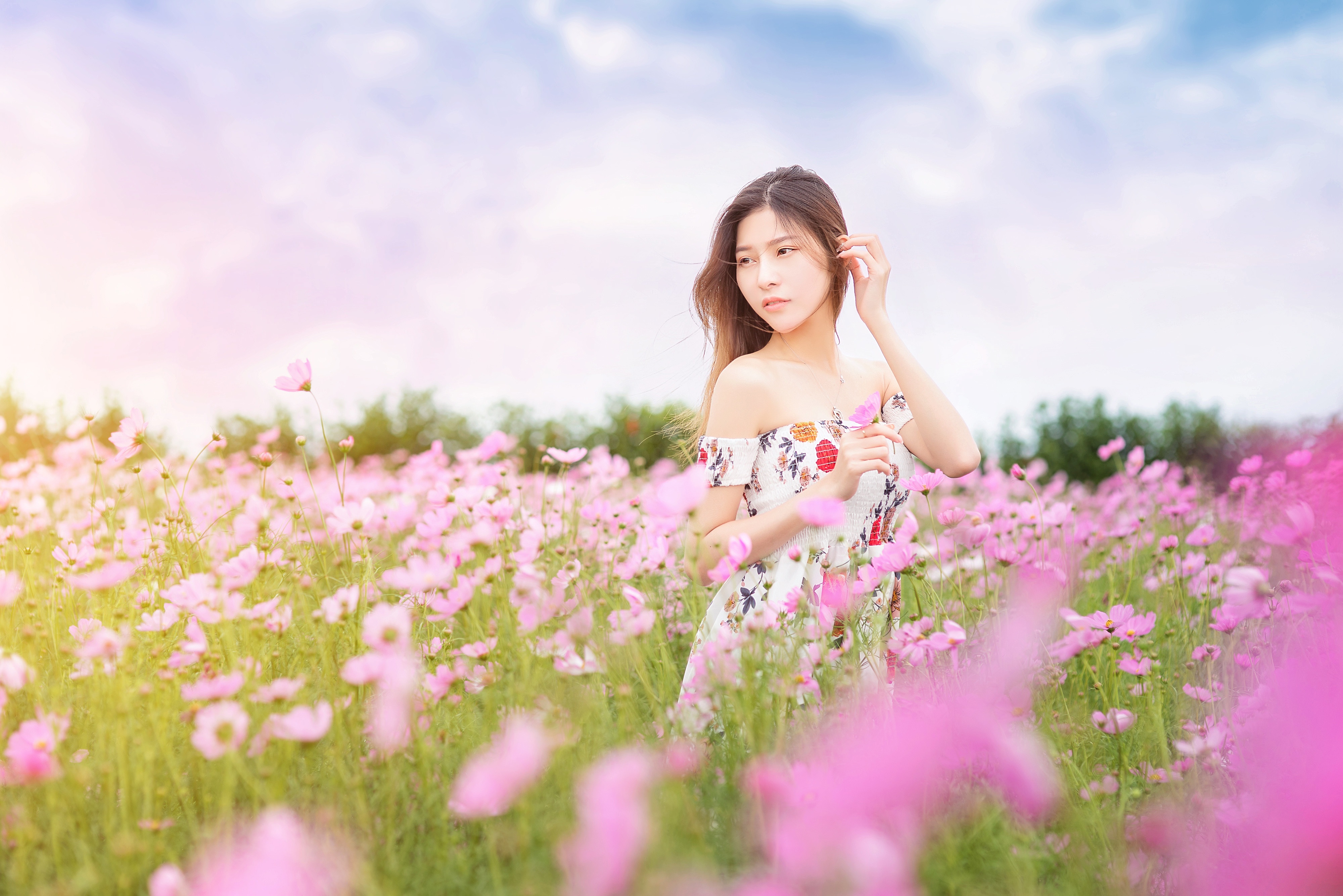 Asian Brunette Cosmos Dress Flower Girl Model Pink Flower Summer Woman 4000x2670