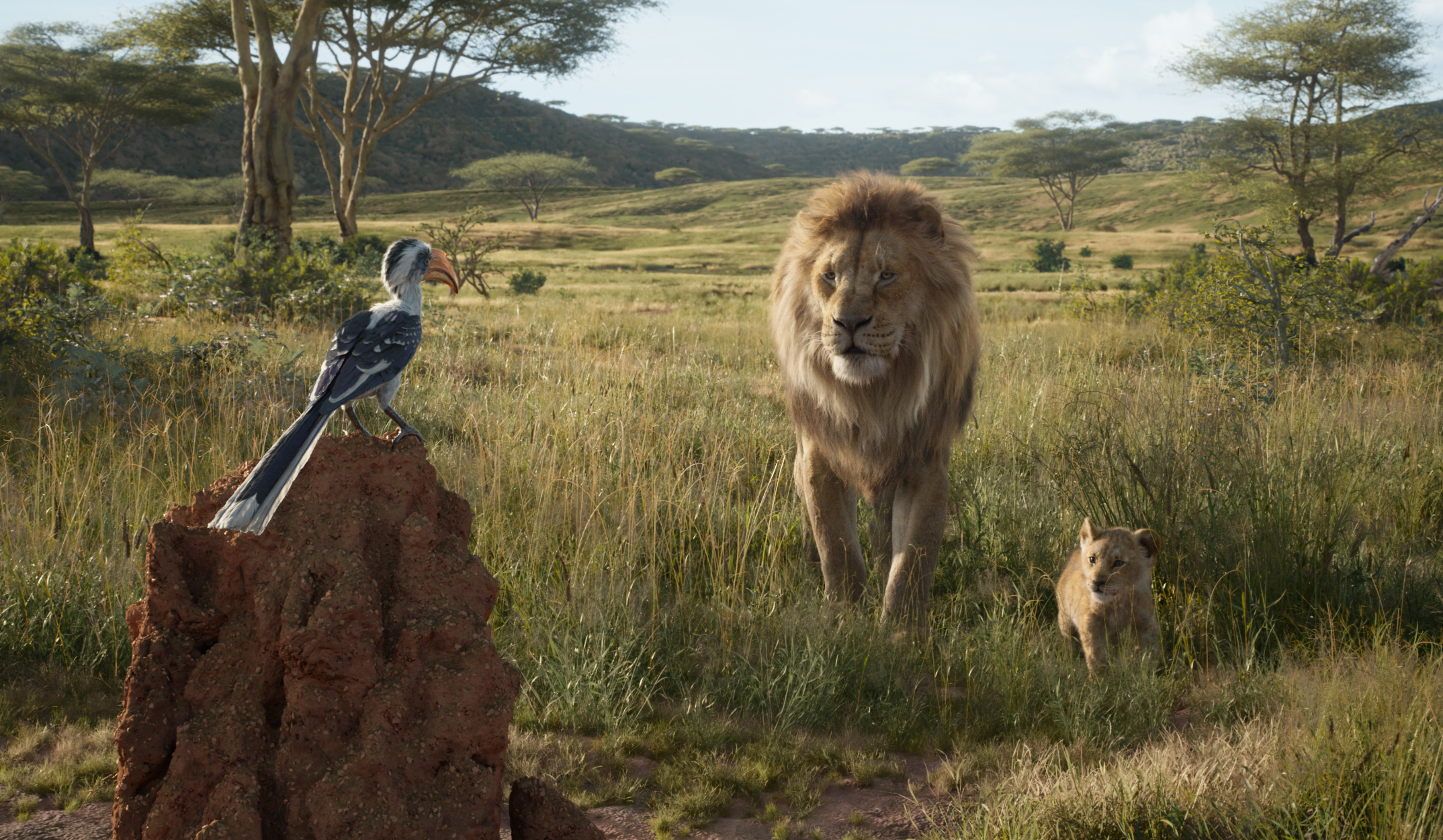 Mufasa The Lion King Simba The Lion King 2019 Zazu The Lion King 2148x1252