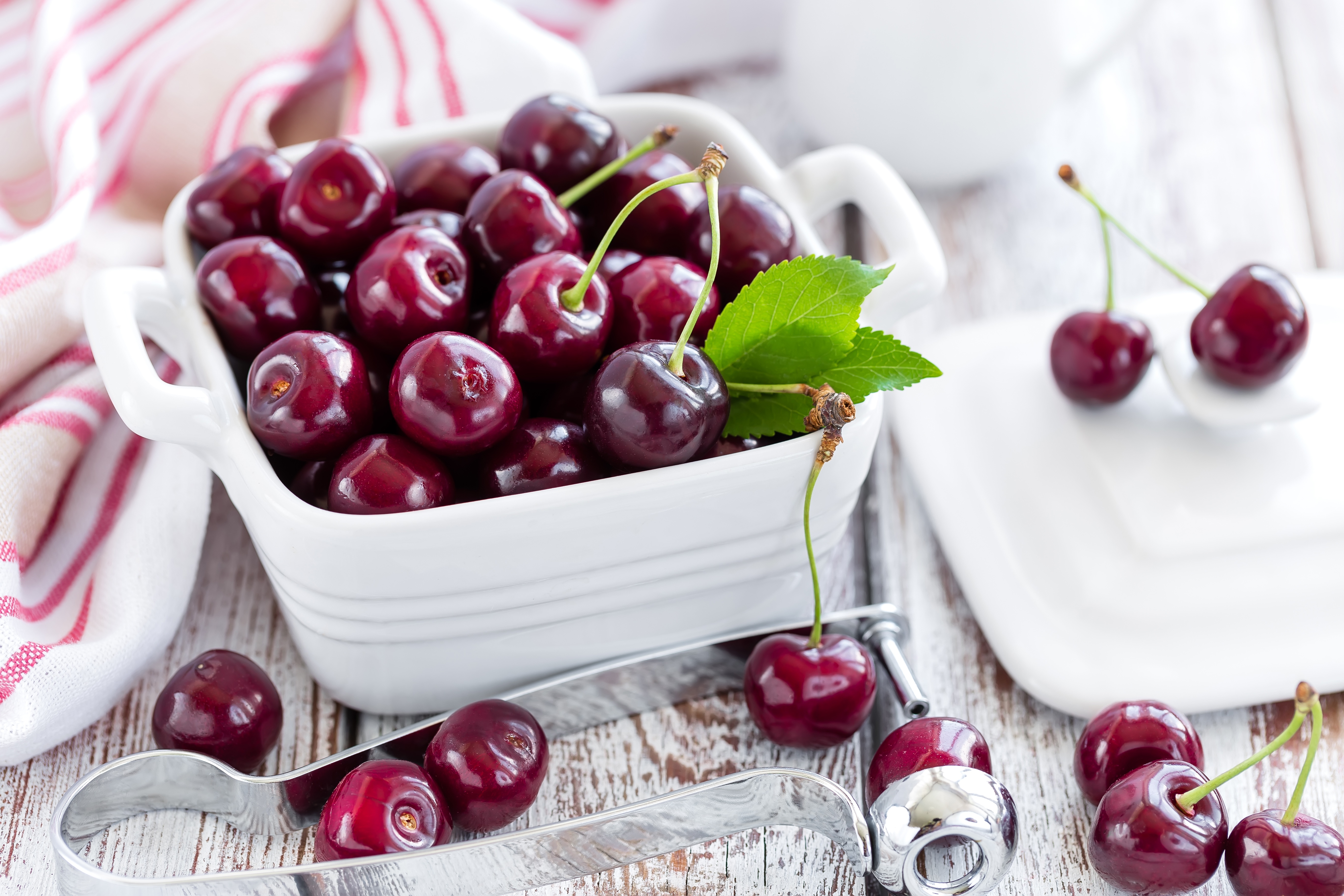 Cherry Fruit Still Life 5472x3648