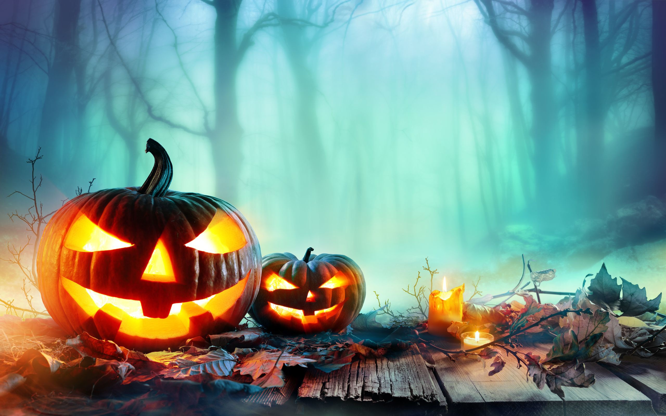 Candle Fall Fog Halloween Jack O 039 Lantern Leaf Pumpkin 2560x1600