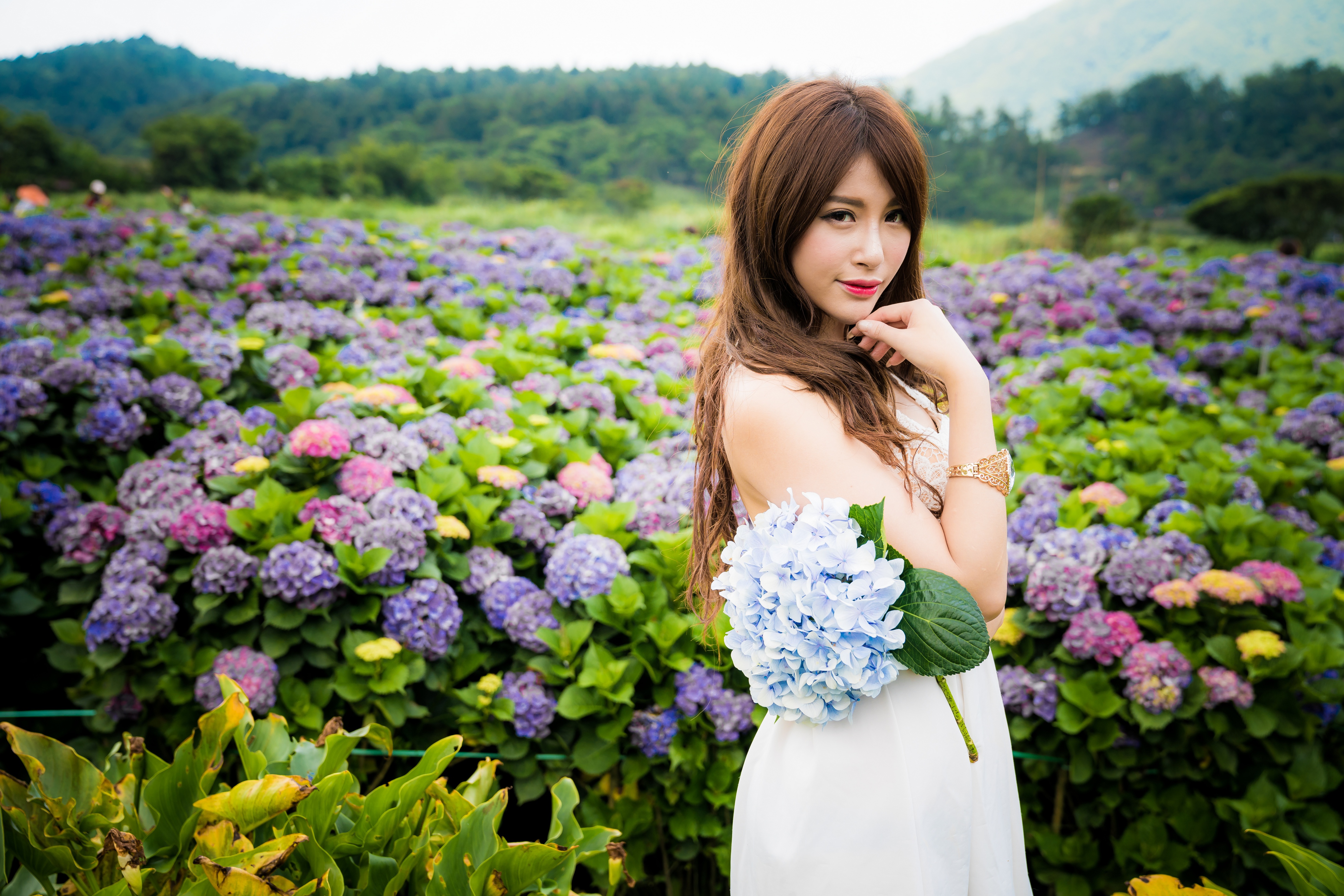 Asian Brunette Depth Of Field Flower Girl Hydrangea Lipstick Long Hair Model White Dress Woman 4562x3043