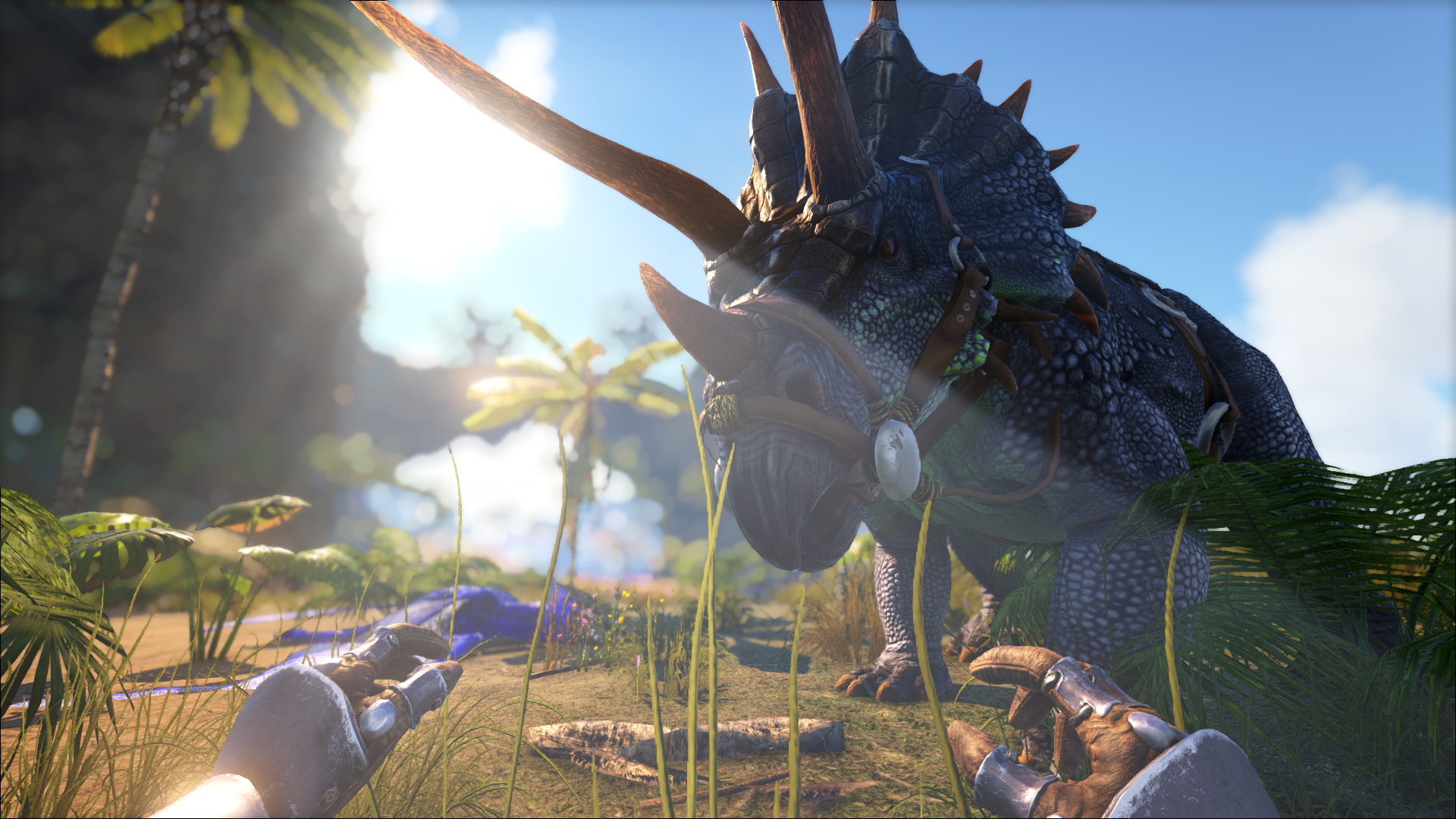 Ark Survival Evolved PC Gaming Video Games Triceratops 1920x1080