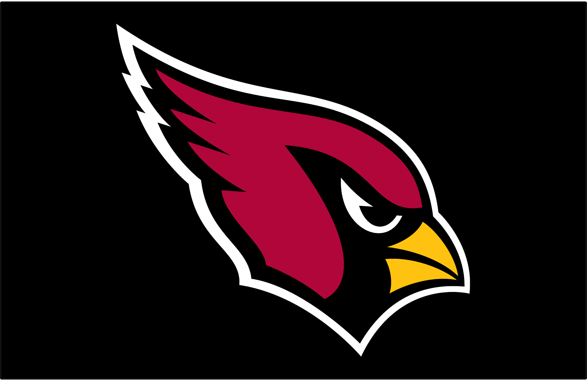 Arizona Cardinals 1920x1245