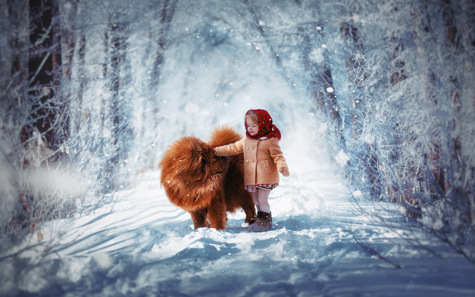 Child Chow Chow Cute Dog Little Girl Road Snow Winter 1920x1200