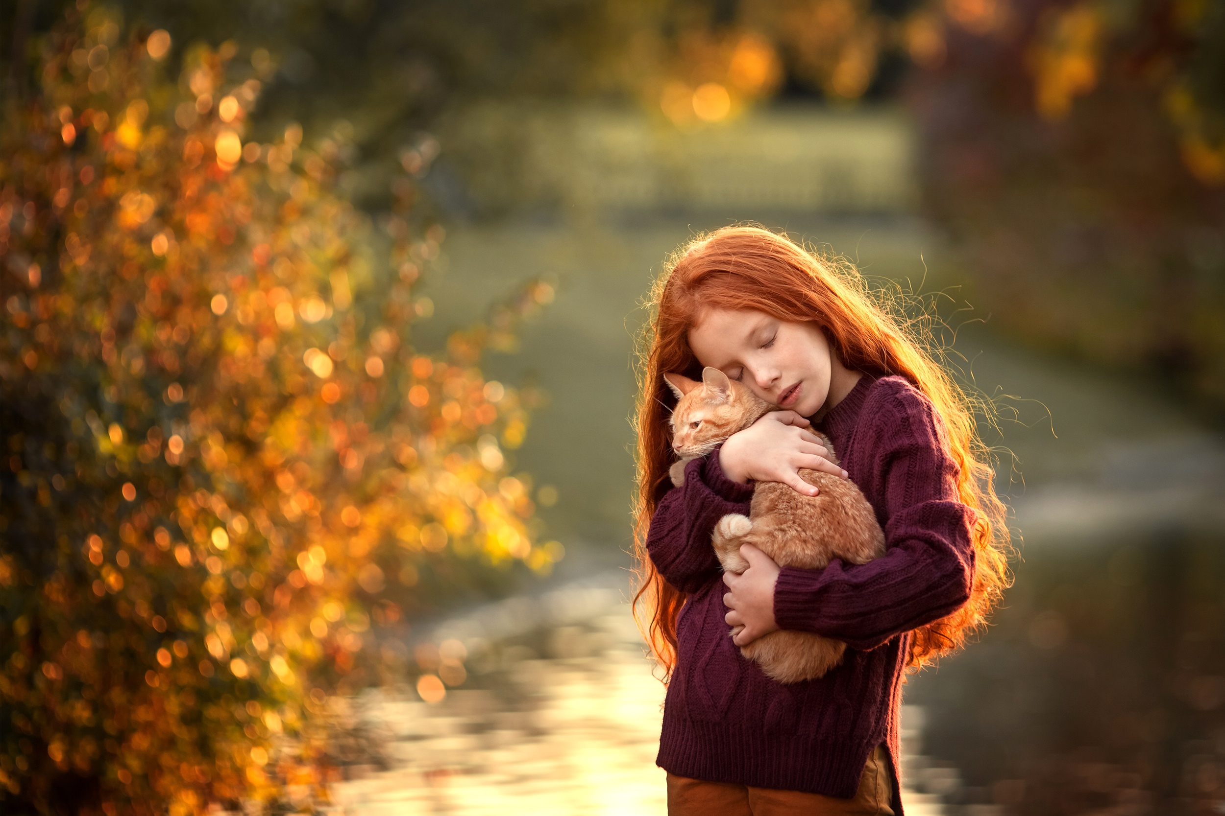 Cat Child Depth Of Field Girl Little Girl Long Hair Redhead 2500x1667