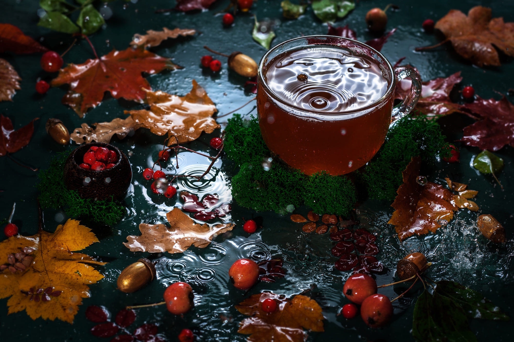 Cup Drink Fall Leaf Tea Water 2000x1333