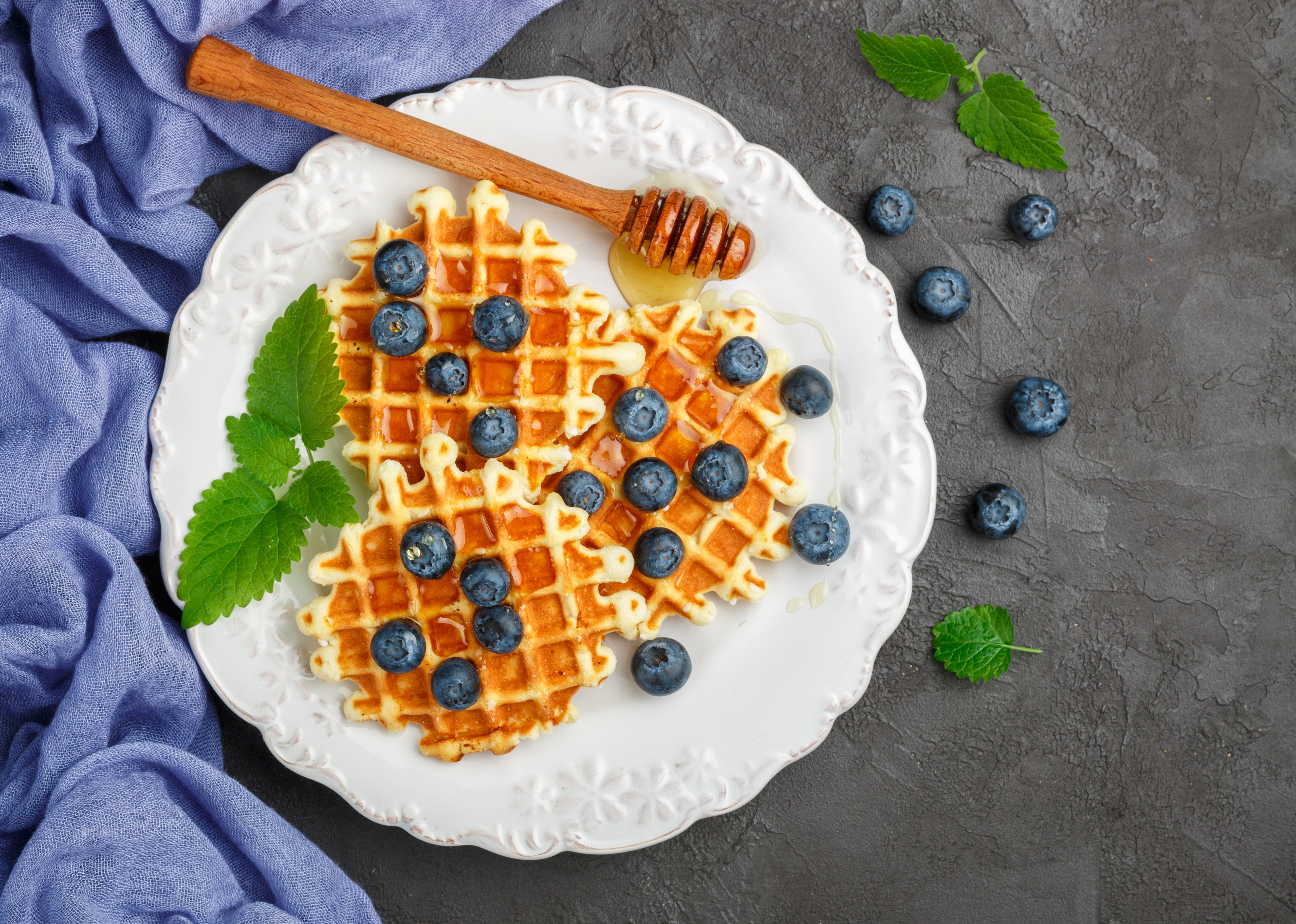 Berry Blueberry Breakfast Still Life Waffle 5114x3648