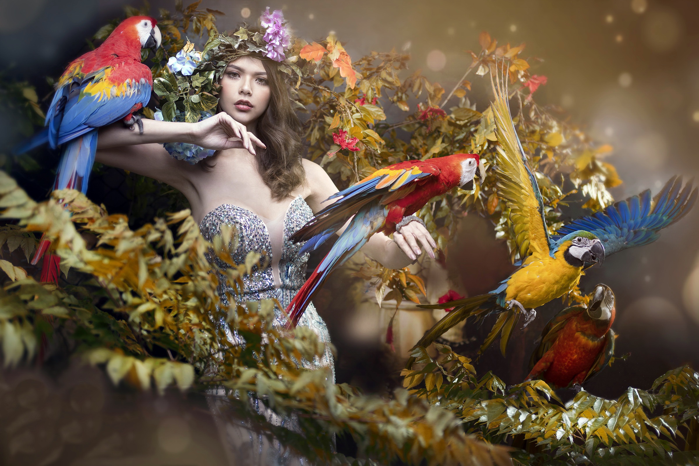 Women Model Looking At Viewer Makeup Dress Brunette Animals Birds Parrot Colorful Plants 2400x1600