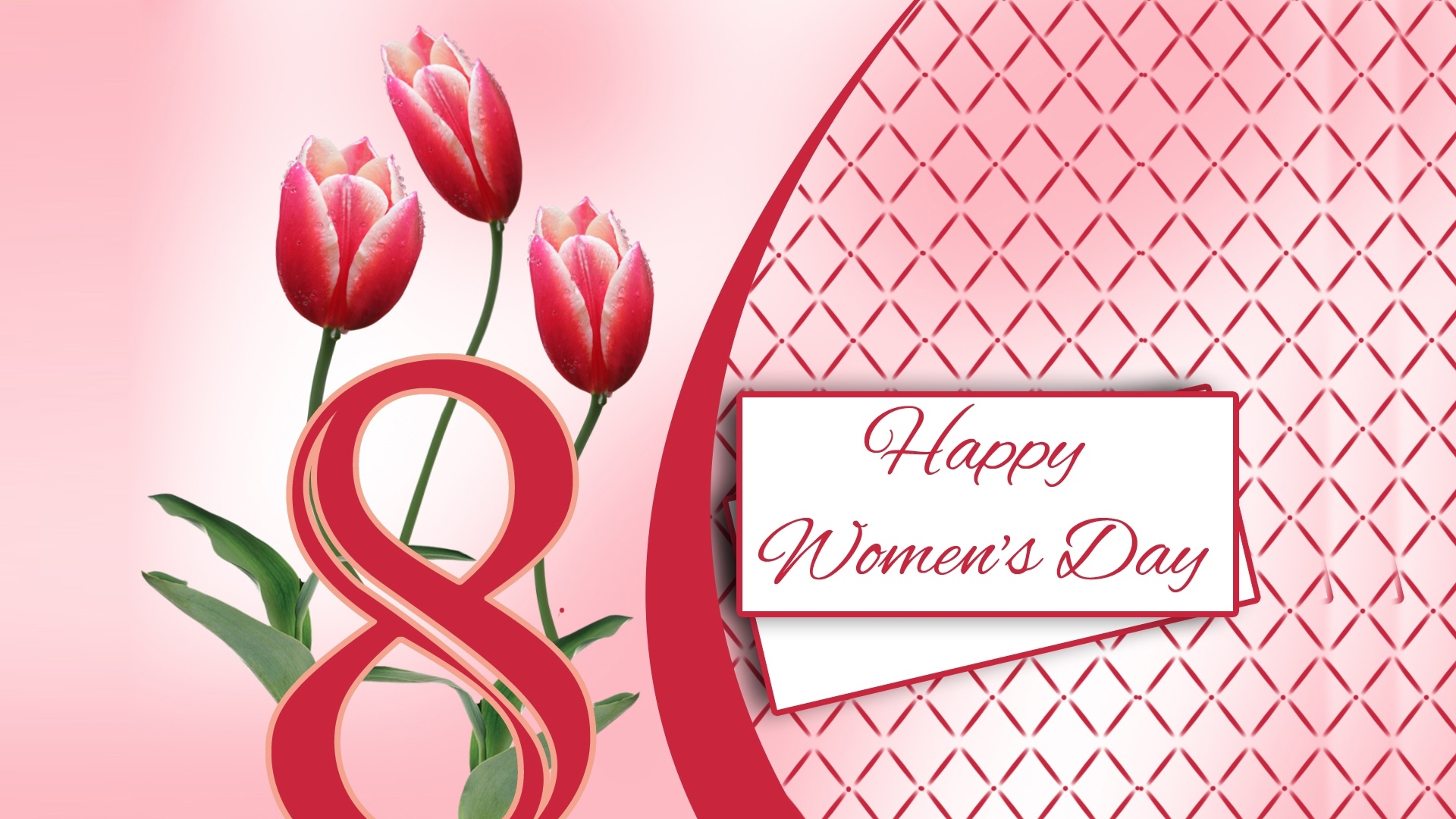 Eight Happy Women 039 S Day Pink Flower Statement Tulip Women 039 S Day 1920x1080
