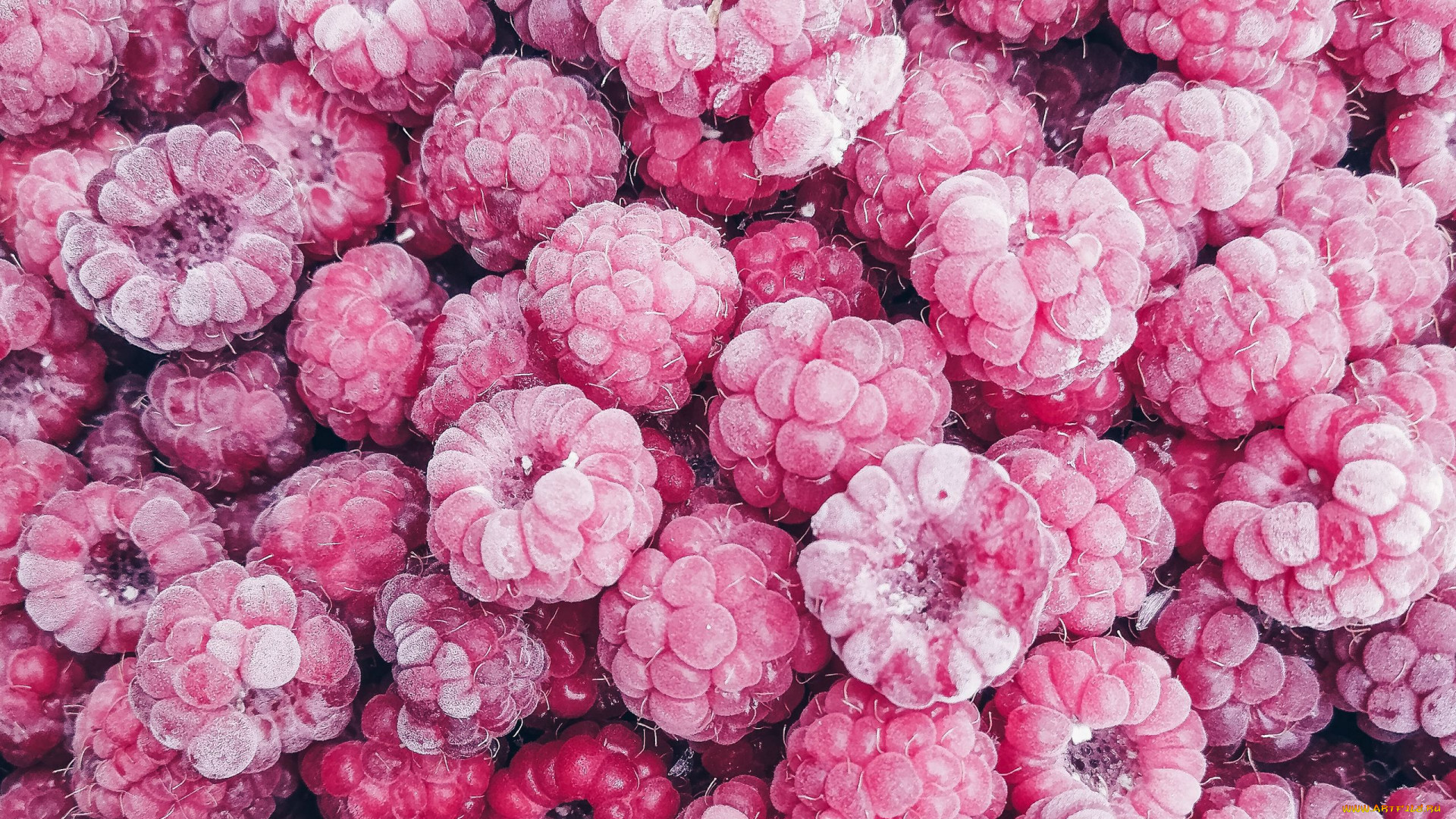 Food Fruit Berries Raspberries Colorful 1920x1080