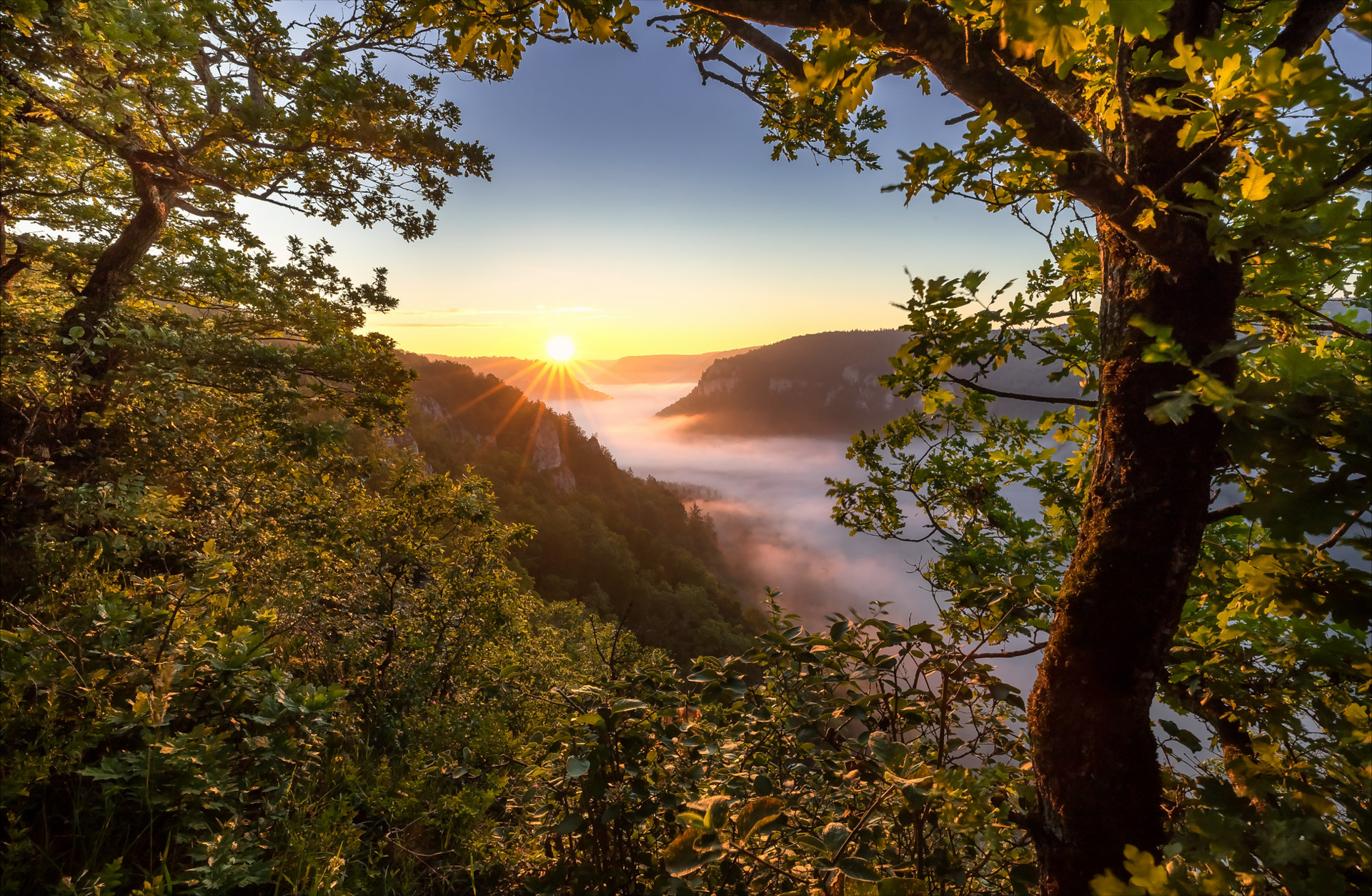 Dawn Fog Germany Morning Mountain Oak Sunrise 1920x1254