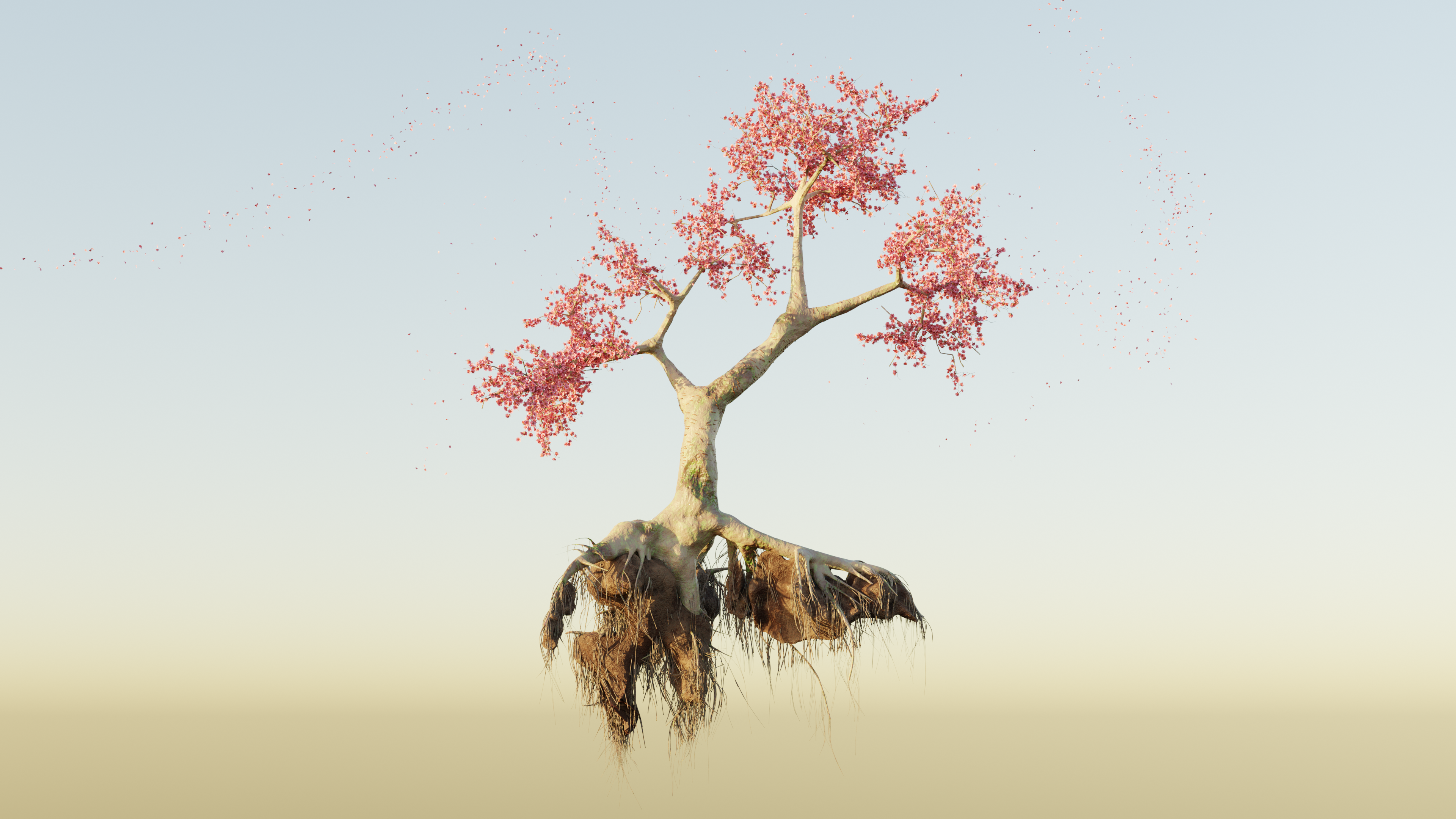 Blender 3D Graphics 3D Tree Trunk Floating Sakura Blossom 3840x2160