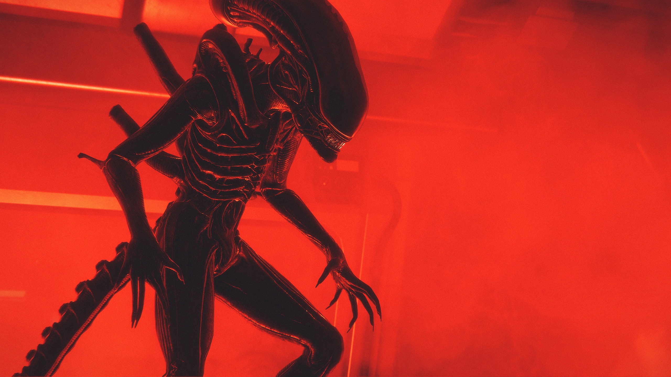 Aliens Science Fiction Horror Xenomorph Creature Alien Movie 2560x1439