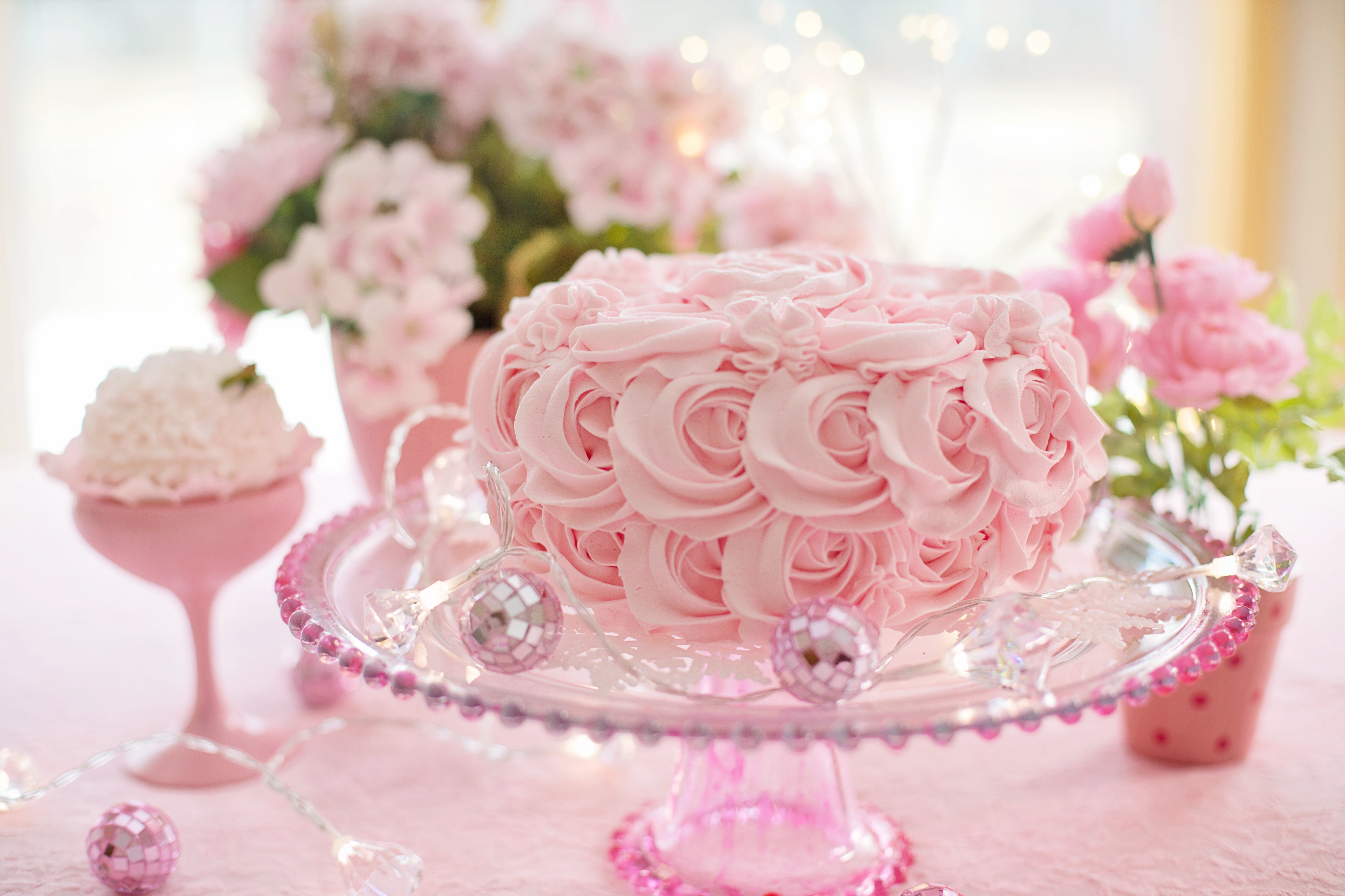 Cake Depth Of Field Pastry Pink Rose Rose Still Life 5760x3840