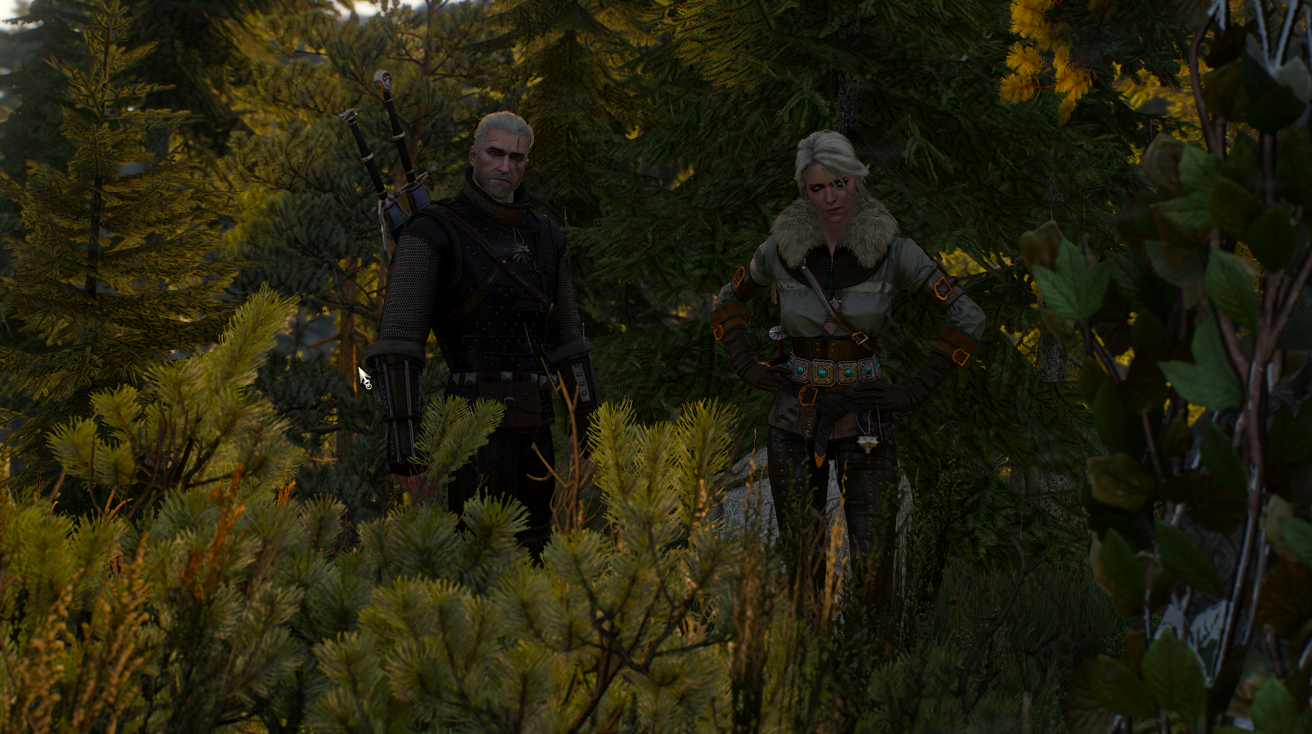 The Witcher 3 Wild Hunt Geralt Of Rivia Cirilla Ciri The Witcher Video Game Characters 2551x1427