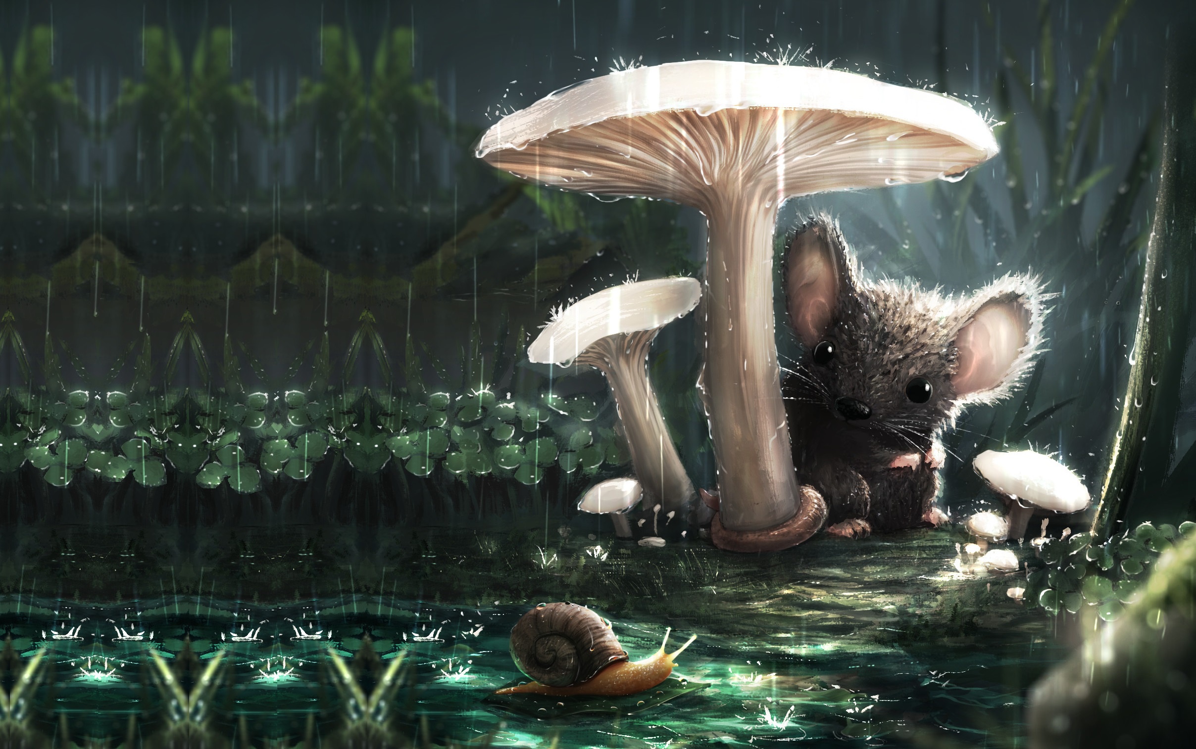 Animal Mouse Mushroom Rain Snail 2416x1514