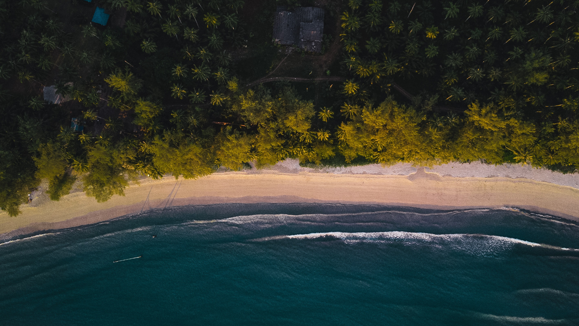 Nature Trees Forest House Sea Beach Water Waves Aerial Drone Photo 1920x1080